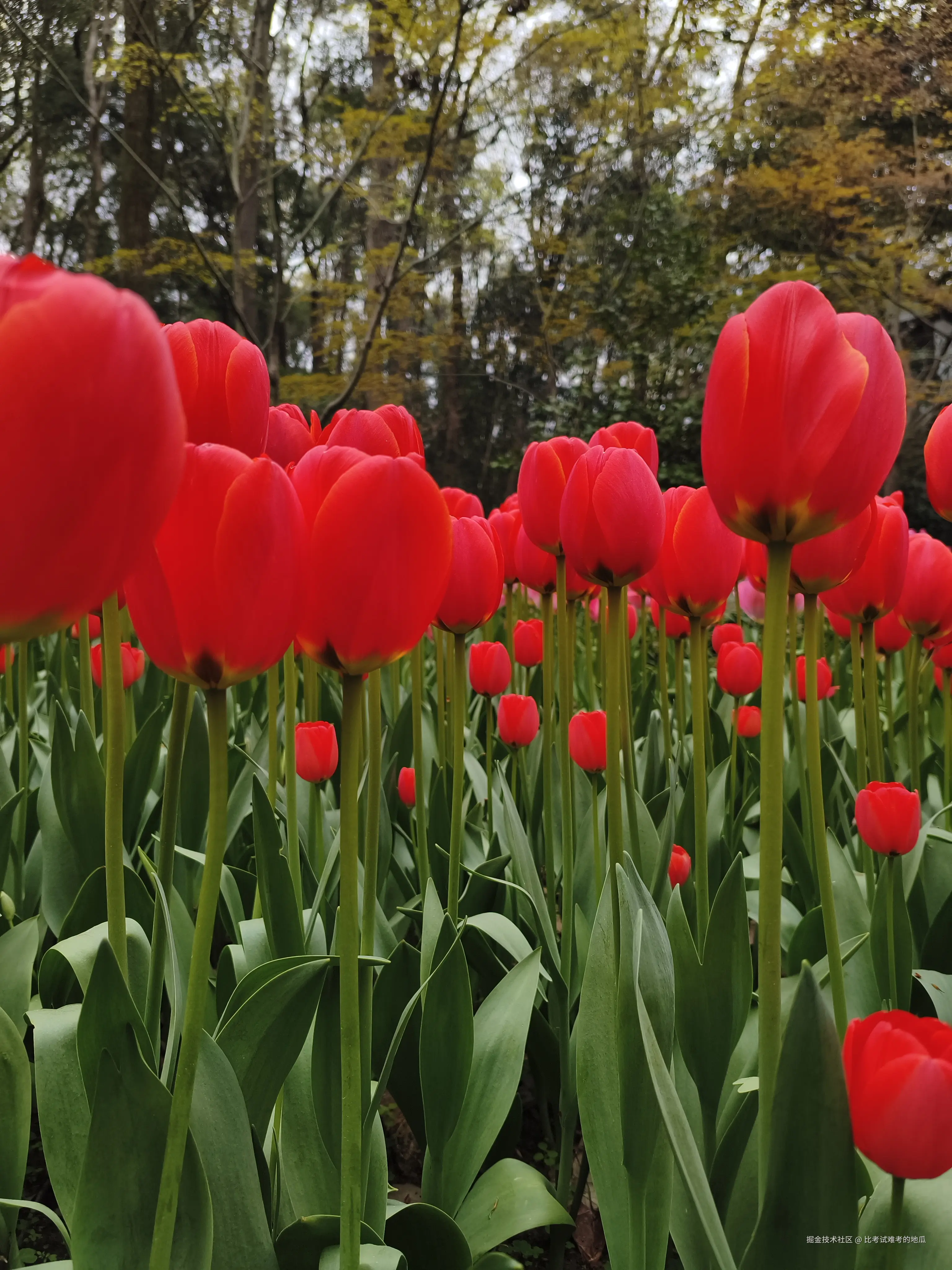 比考试难考的地瓜于2026-03-23 12:05发布的图片