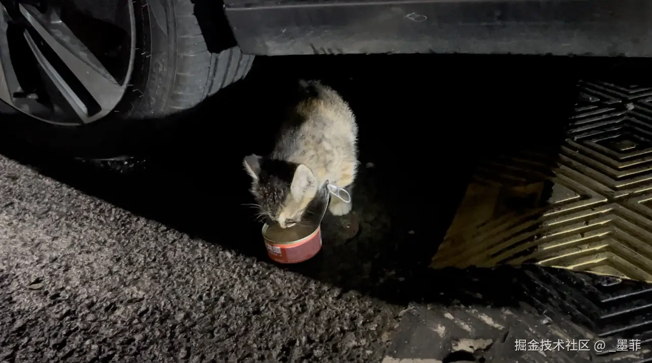 _墨菲于2024-11-15 10:09发布的图片