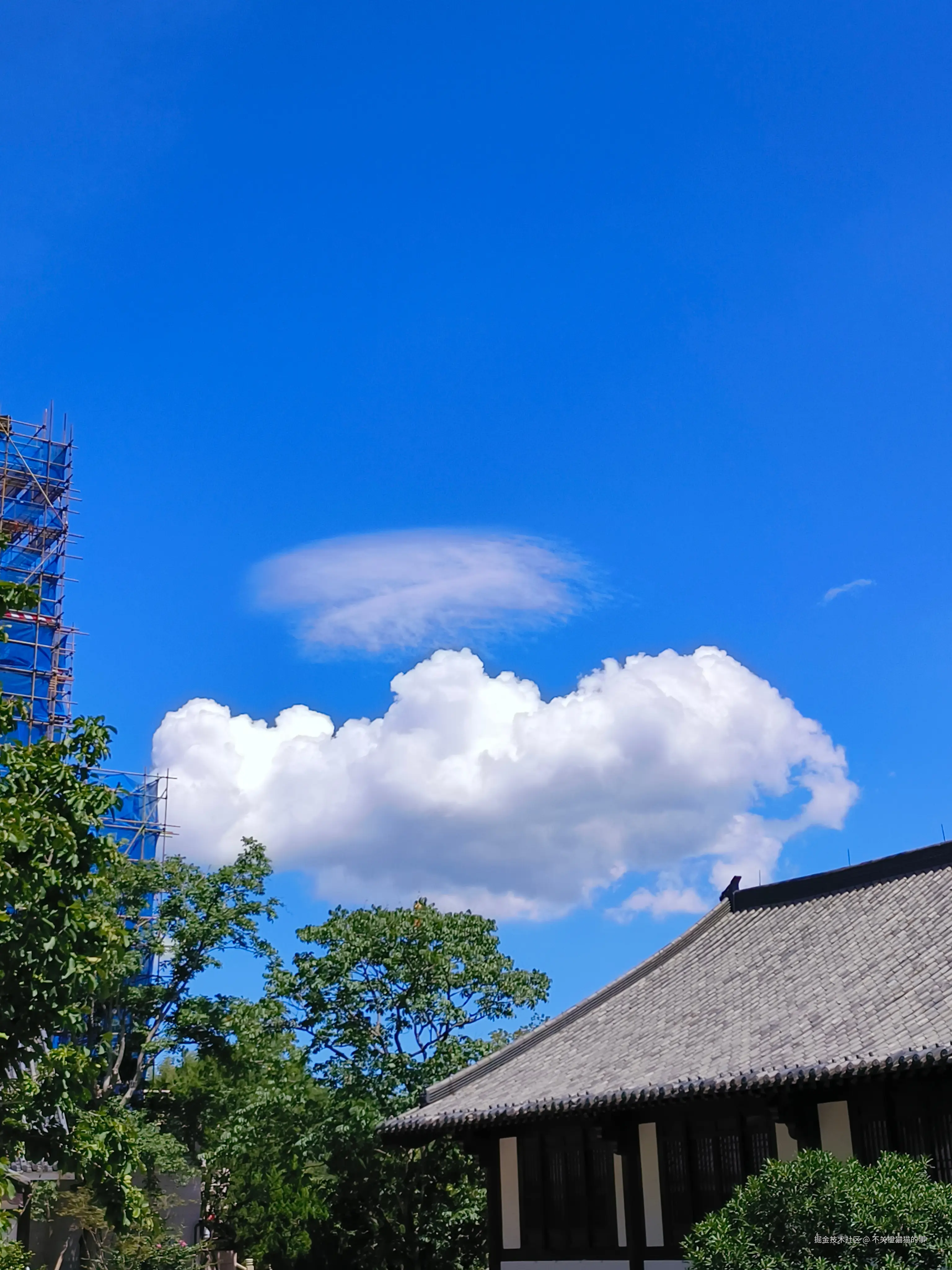 不关橙猫猫的事于2025-08-25 15:39发布的图片