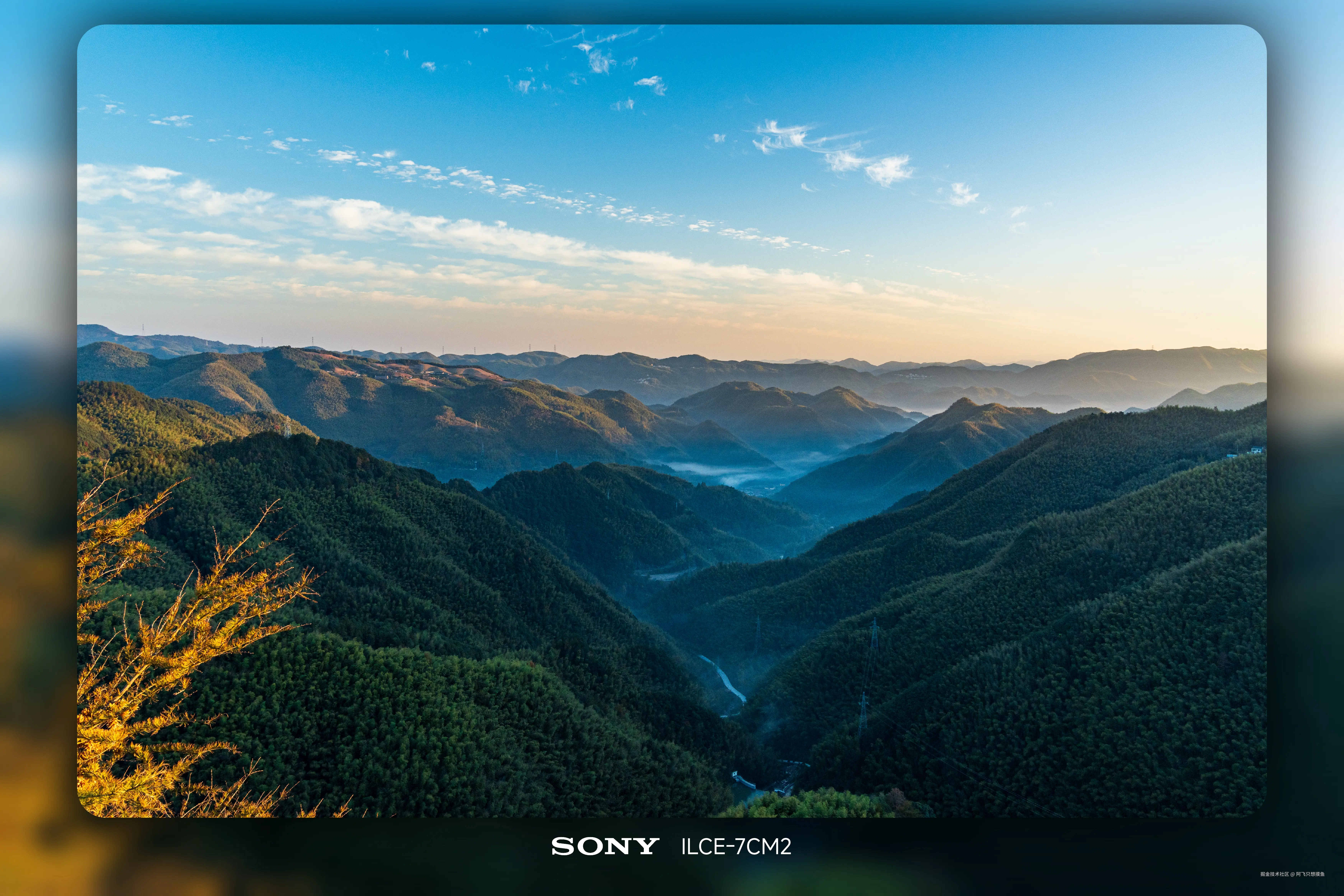 阿飞只想摸鱼于2025-11-18 14:20发布的图片