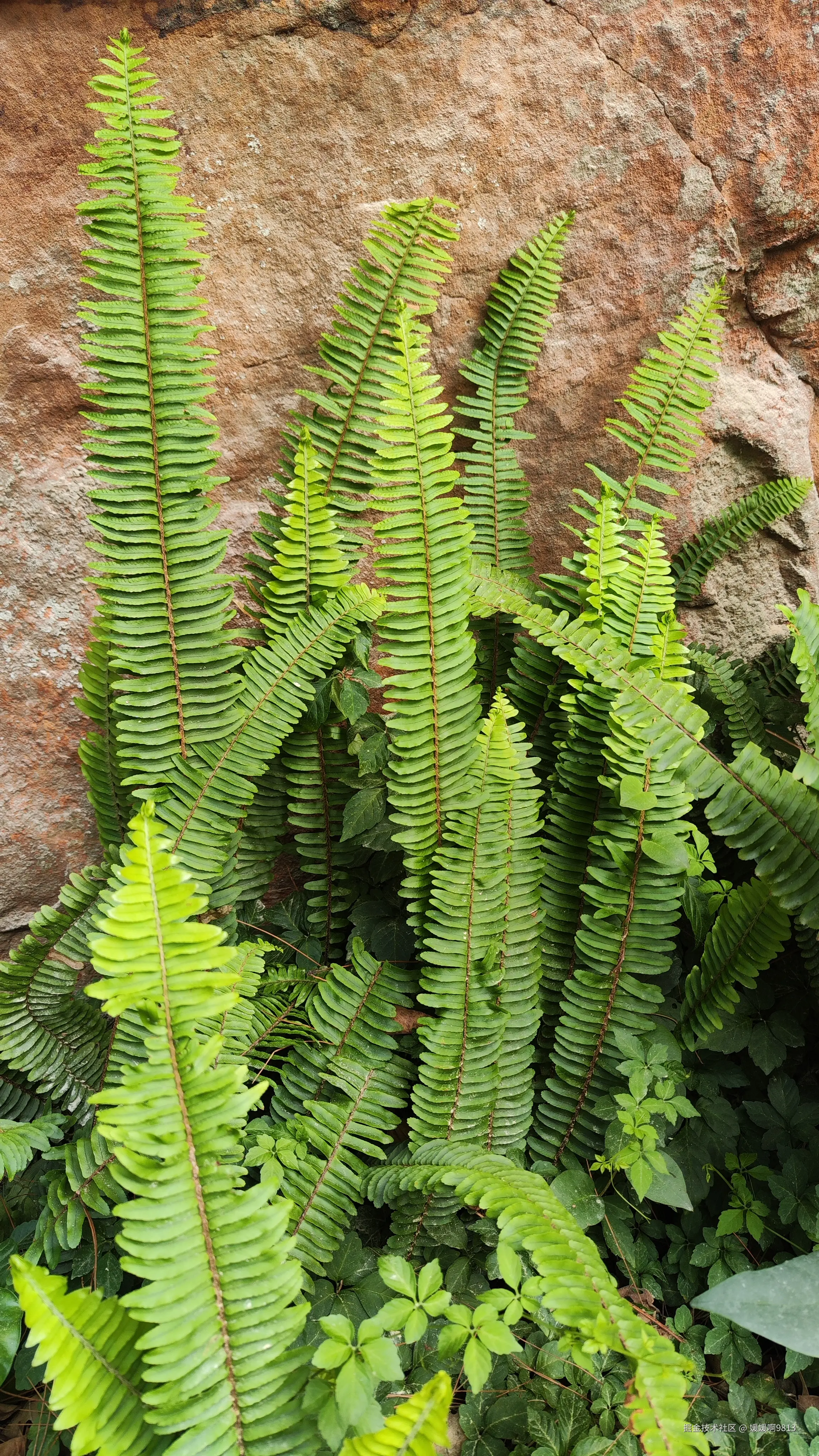 媛媛啊9813于2025-05-08 06:30发布的图片