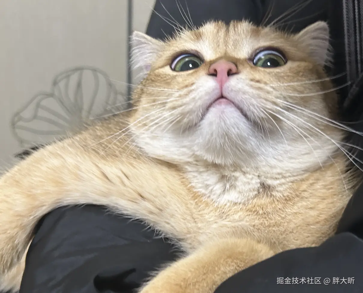 胖大昕于2024-09-30 13:42发布的图片