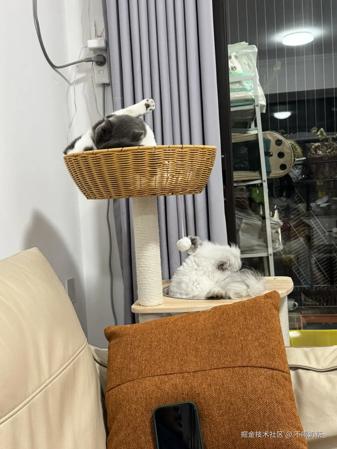 不喝奶茶_于2025-07-14 06:13发布的图片