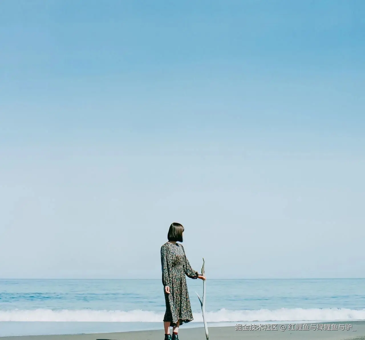 红鲤鱼与绿鲤鱼与驴_于2025-07-11 15:09发布的图片