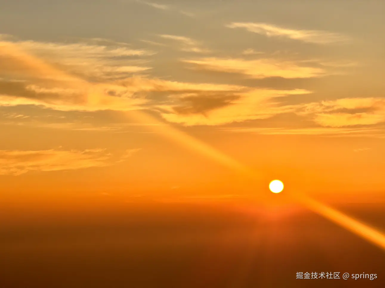 springs于2024-08-18 20:42发布的图片