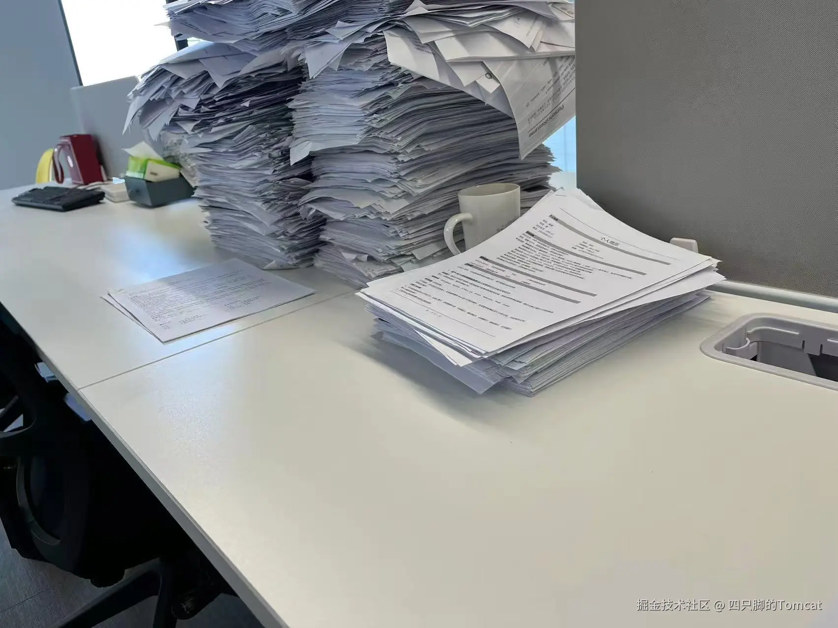 四只脚的Tomcat于2025-12-03 16:13发布的图片