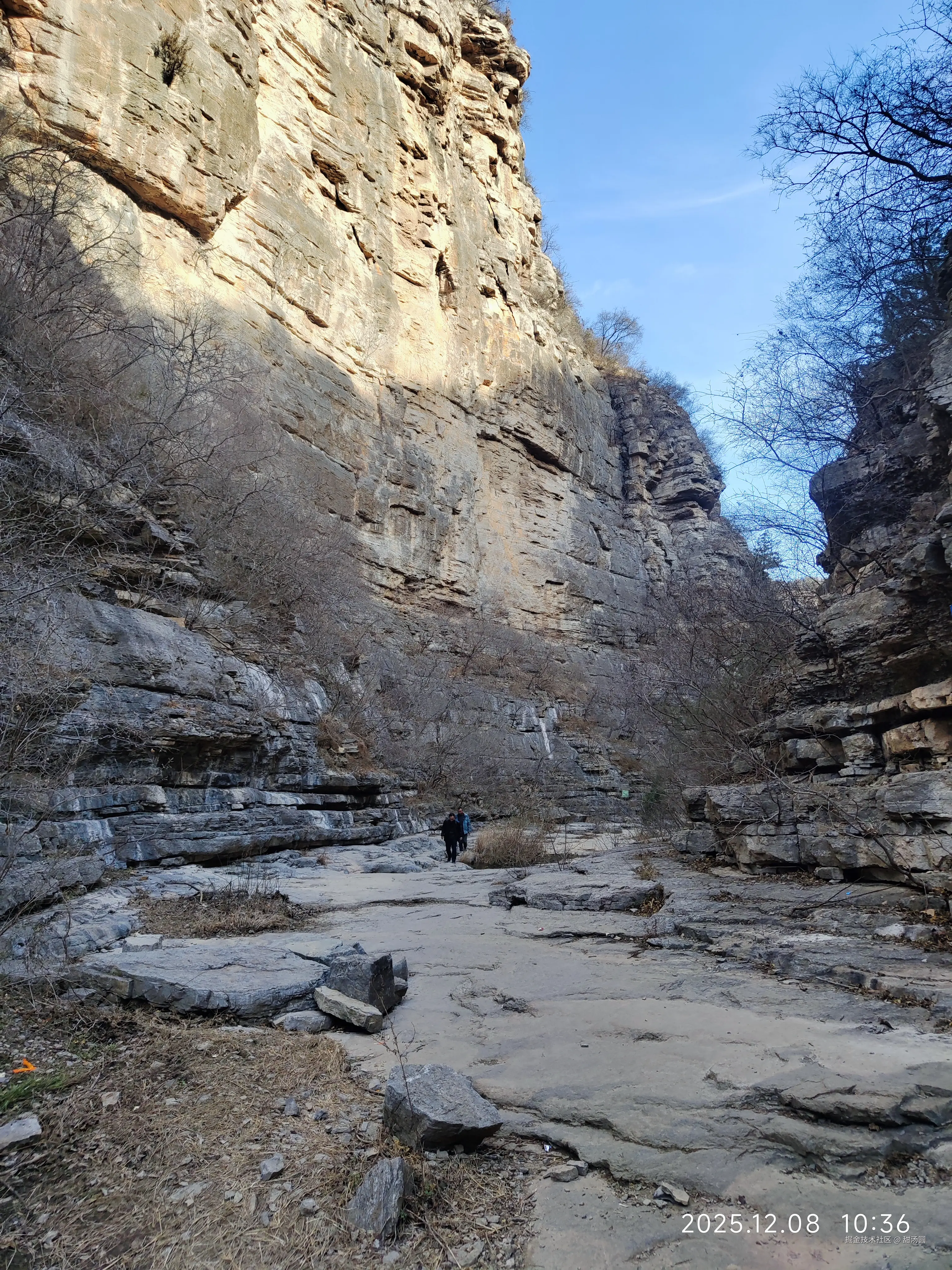 甜汤圆于2025-12-08 12:09发布的图片