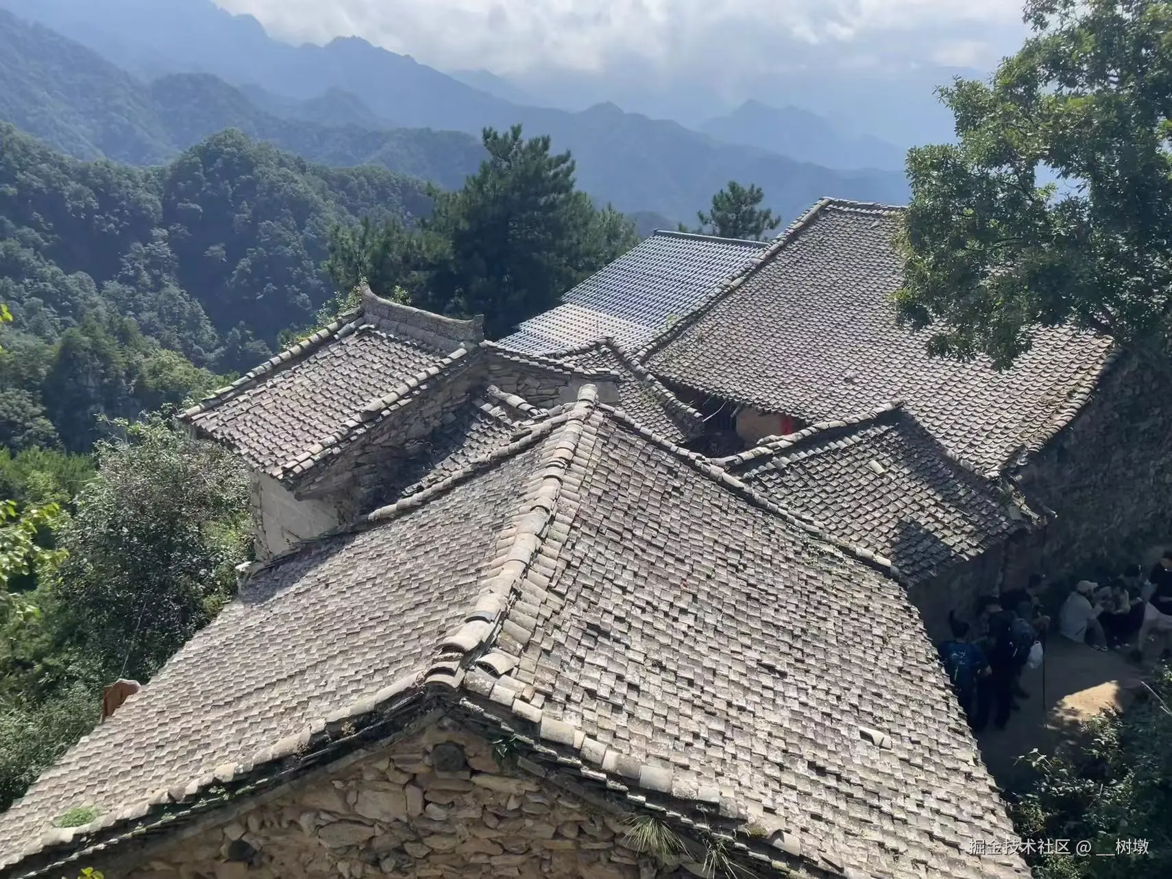 __树墩于2024-09-09 10:04发布的图片