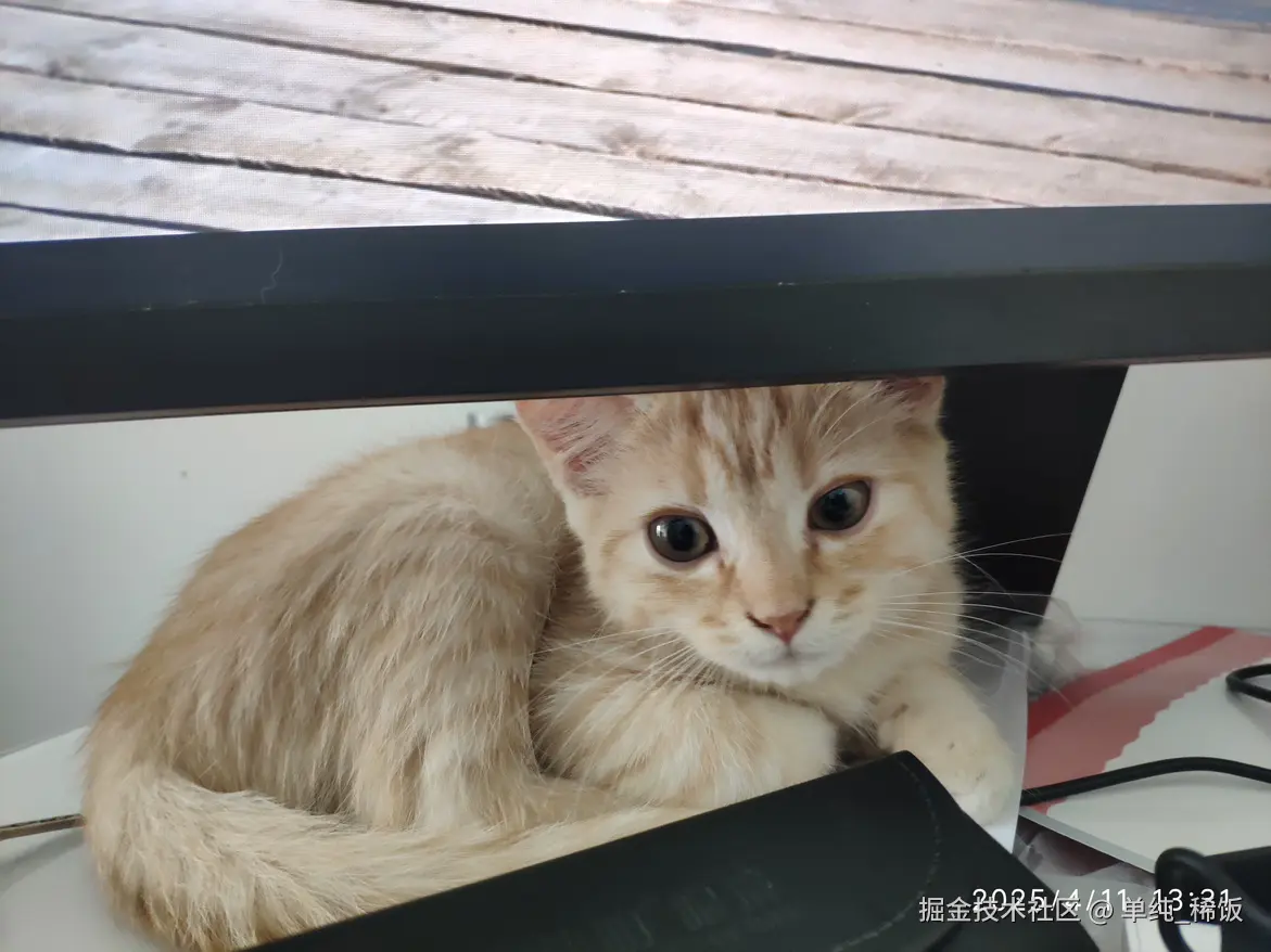 单纯_稀饭于2025-04-11 15:02发布的图片