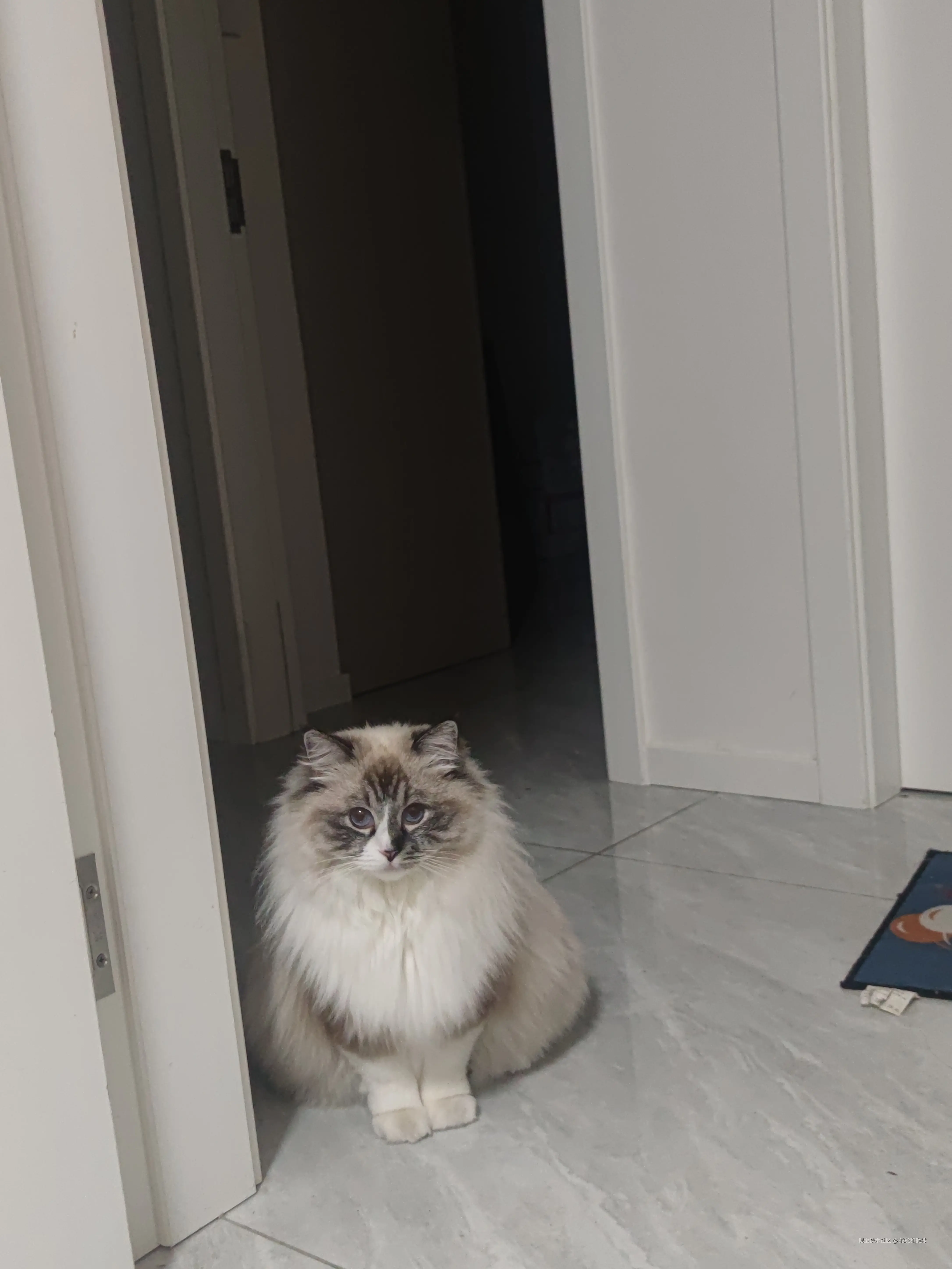 舵舵和撇撇于2026-03-10 10:26发布的图片