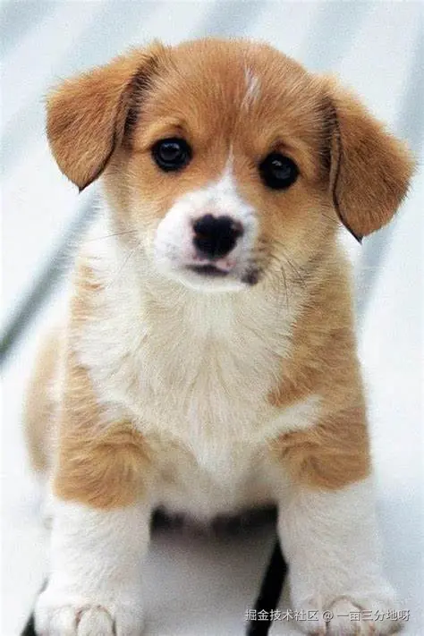 一亩三分地呀于2026-04-21 11:19发布的图片