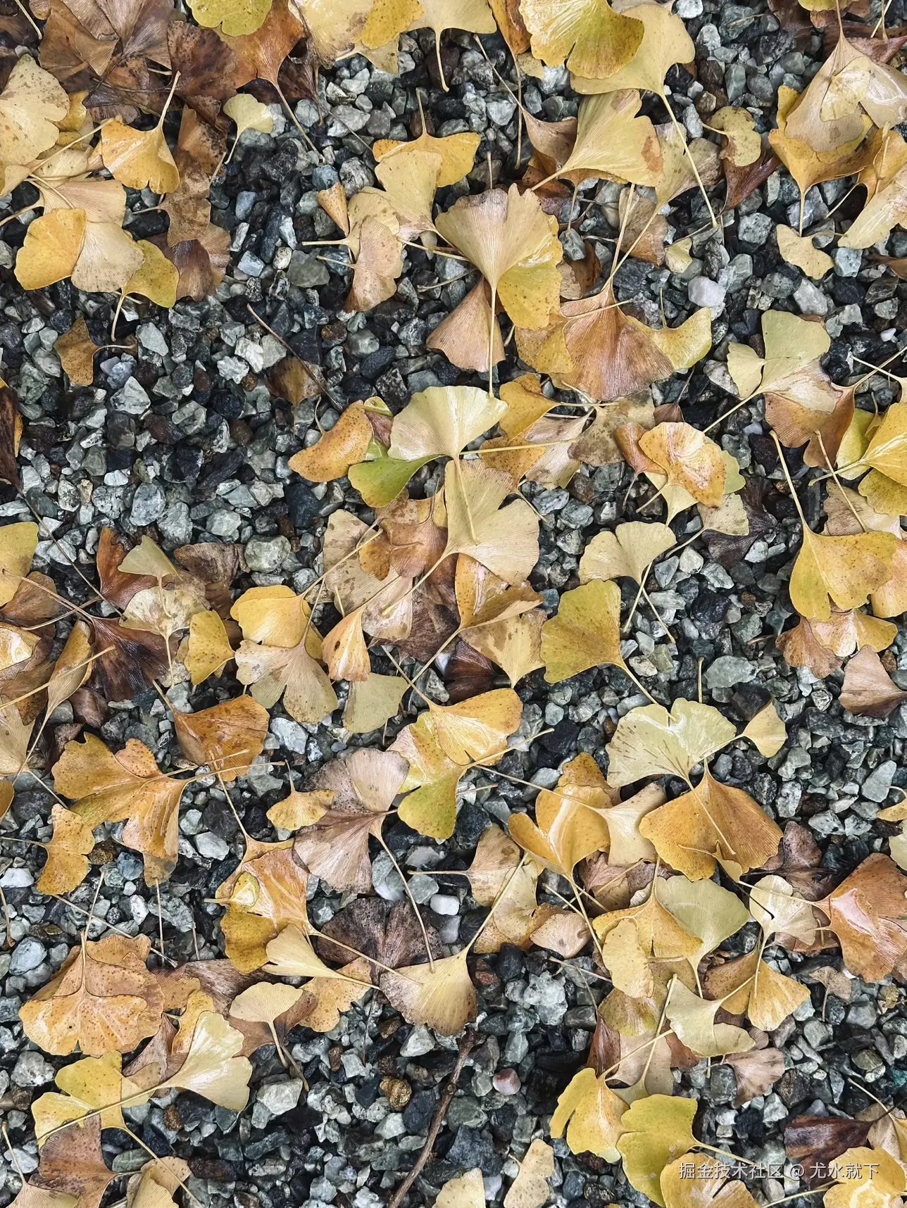 尤水就下于2025-11-22 21:23发布的图片