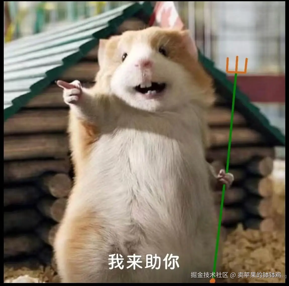 卖苹果的钵钵鸡于2024-09-05 15:20发布的图片