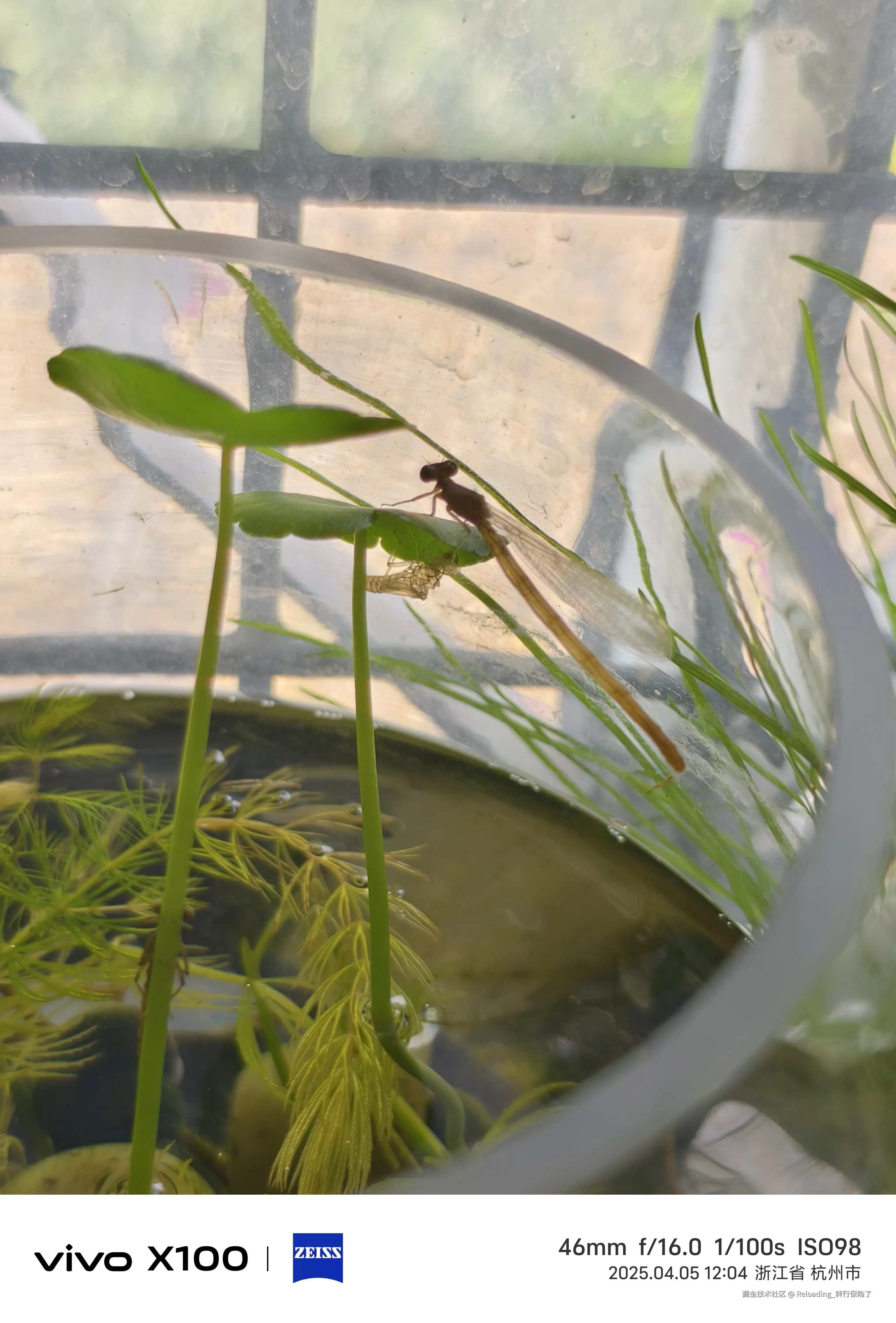 Reloading_转行保险了于2025-04-05 07:17发布的图片