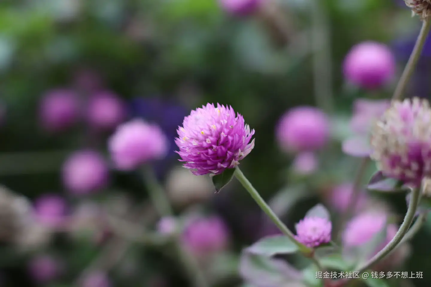 钱多多不想上班于2025-08-29 14:29发布的图片