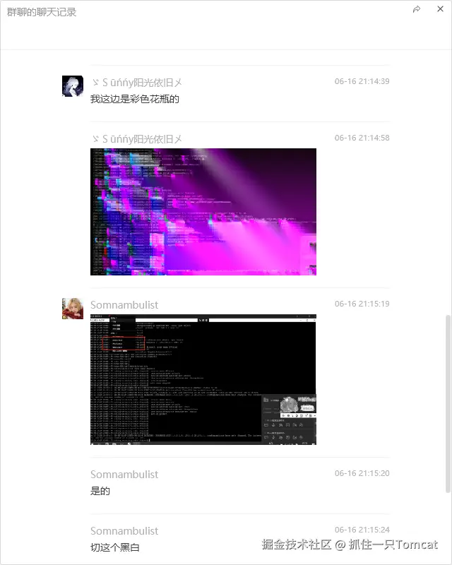 抓住一只Tomcat于2025-06-17 16:13发布的图片