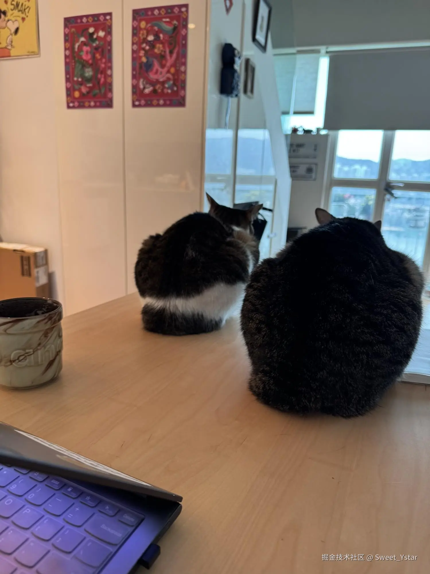 Sweet_Ystar于2026-03-11 17:25发布的图片