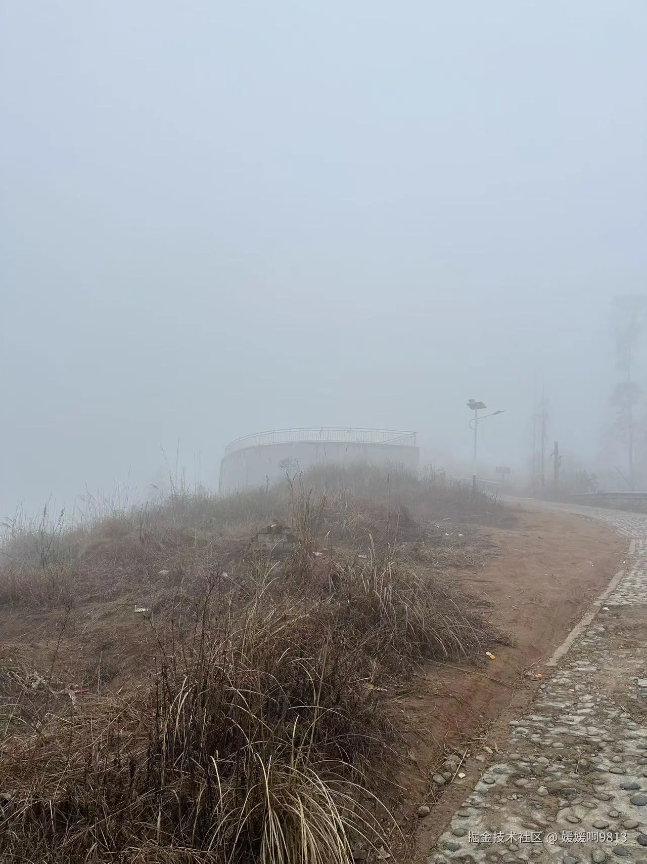 媛媛啊9813于2026-01-24 19:39发布的图片