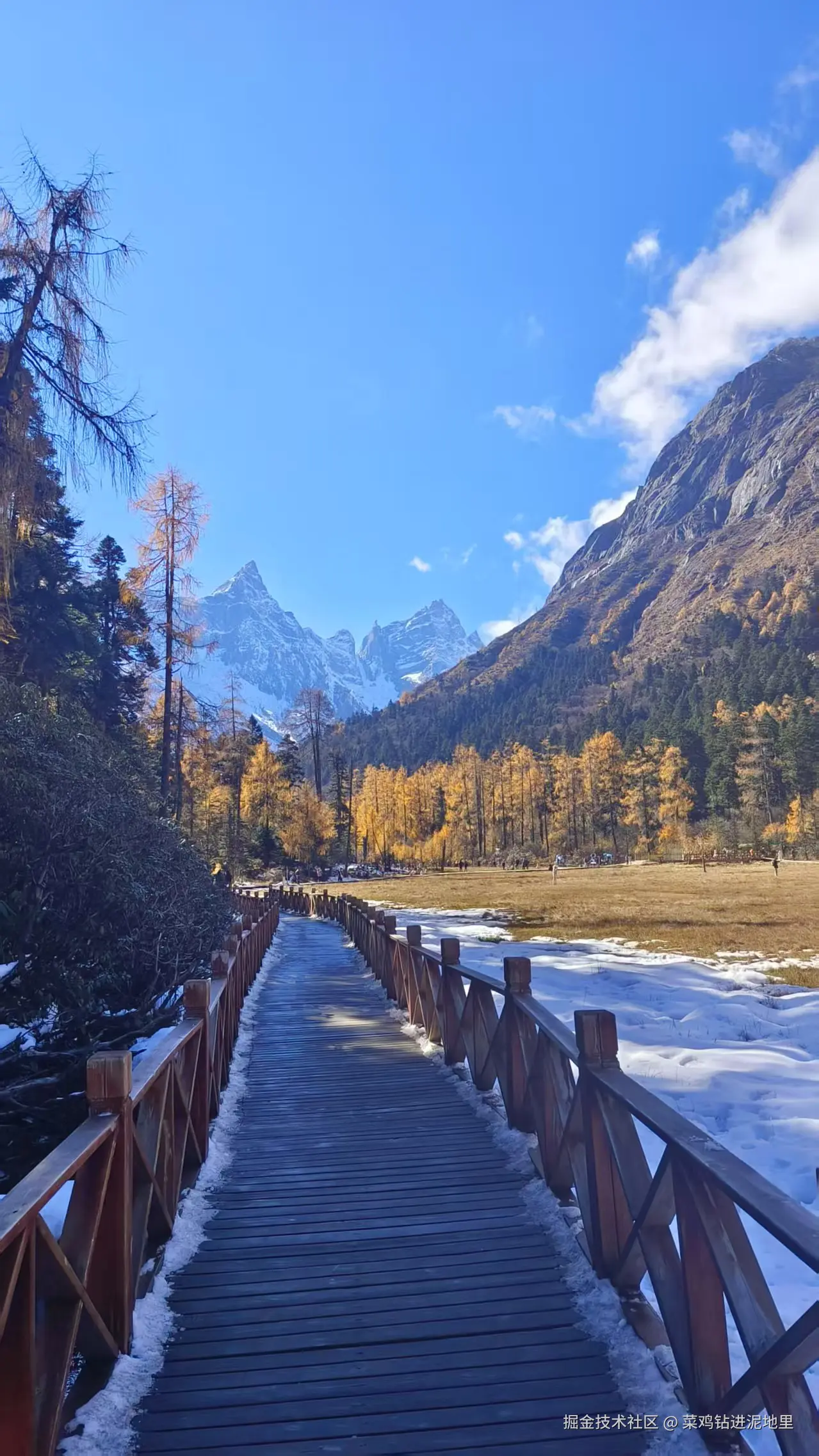 菜鸡钻进泥地里于2025-11-10 15:46发布的图片