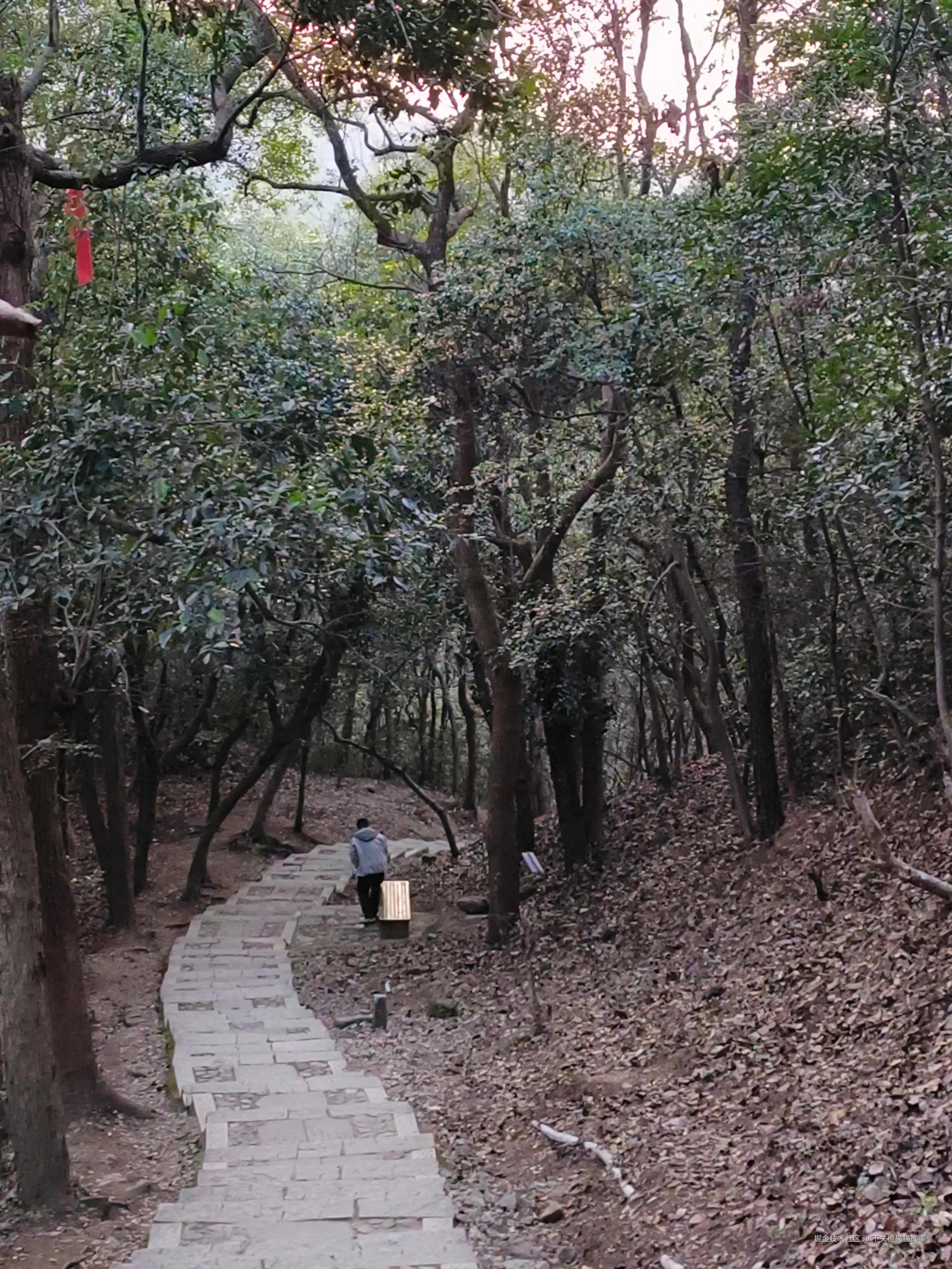 不关橙猫猫的事于2026-03-12 09:29发布的图片