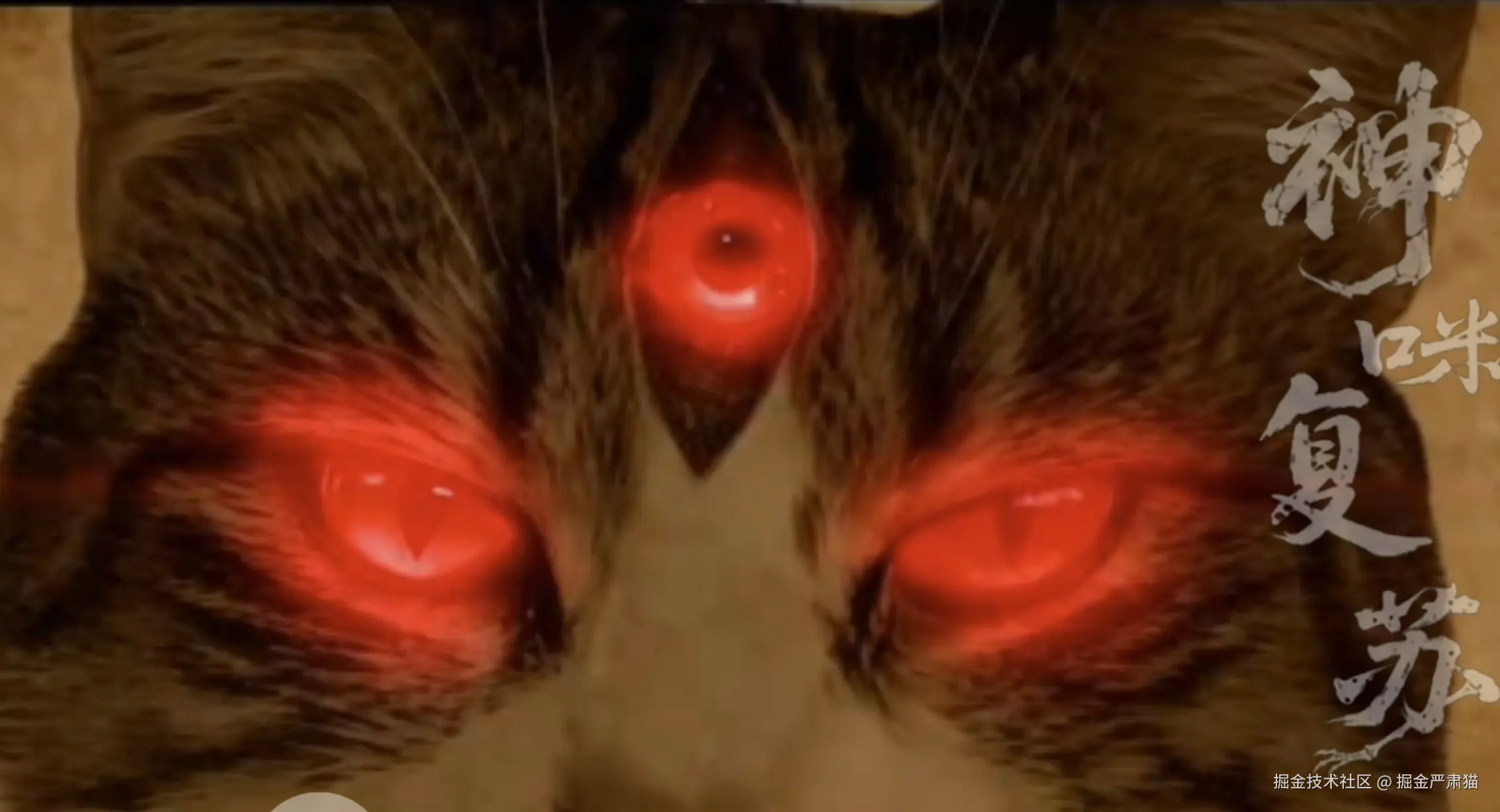 掘金严肃猫于2026-01-05 18:40发布的图片