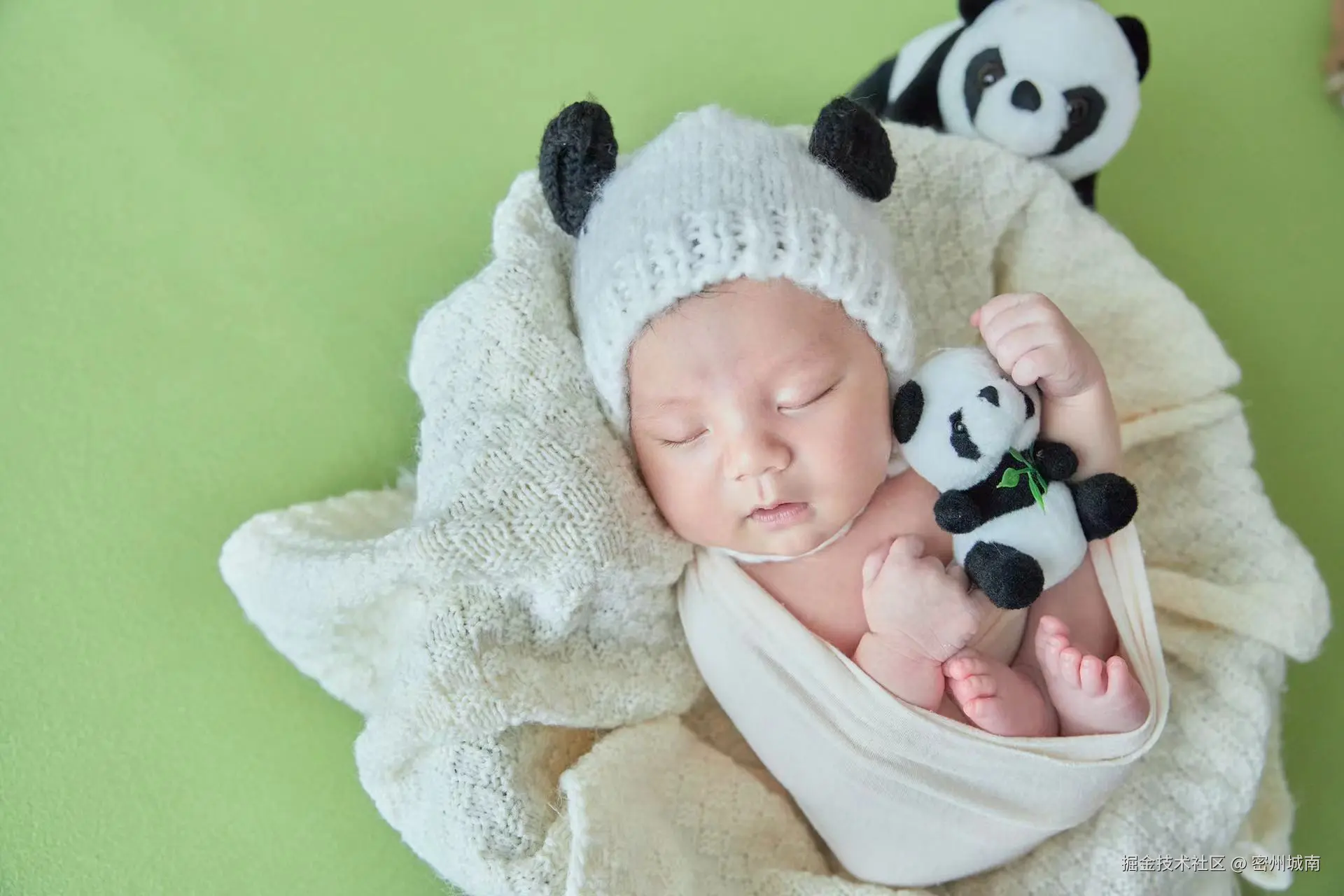 密州城南于2024-08-13 14:51发布的图片