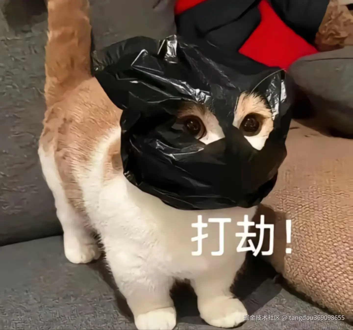 tangdou369098655于2025-03-11 18:12发布的图片