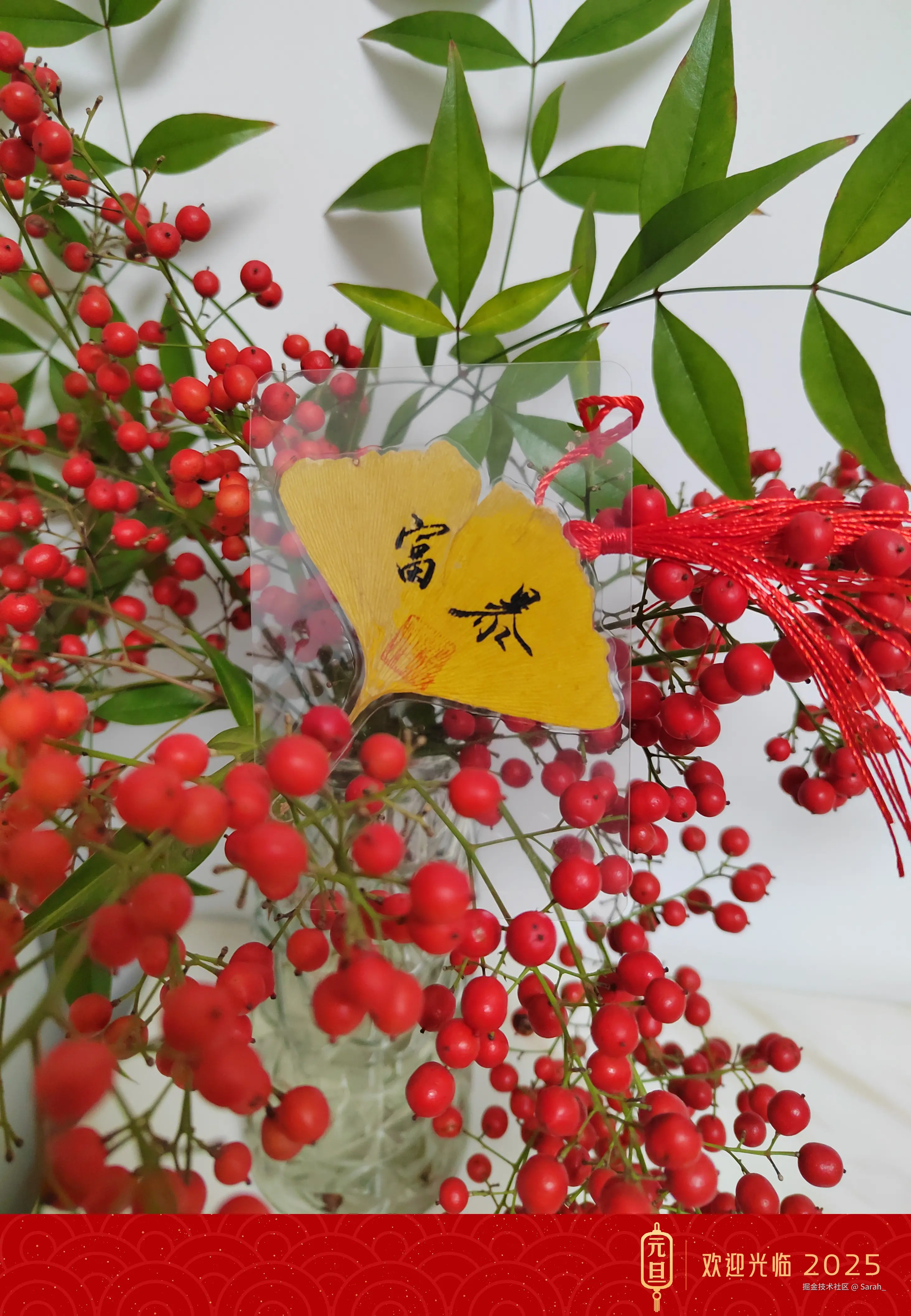 Sarah_于2024-12-31 14:44发布的图片