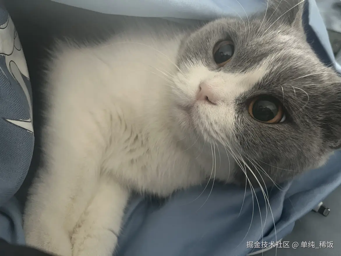 单纯_稀饭于2024-12-23 08:59发布的图片