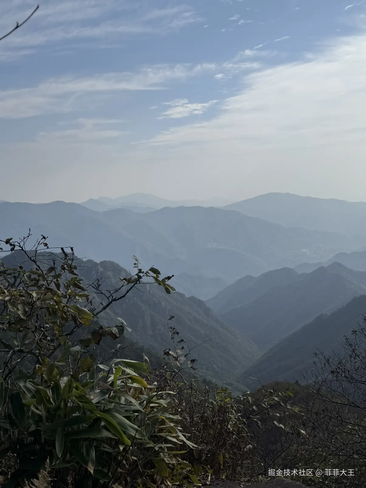 菲菲大王于2025-11-03 11:04发布的图片