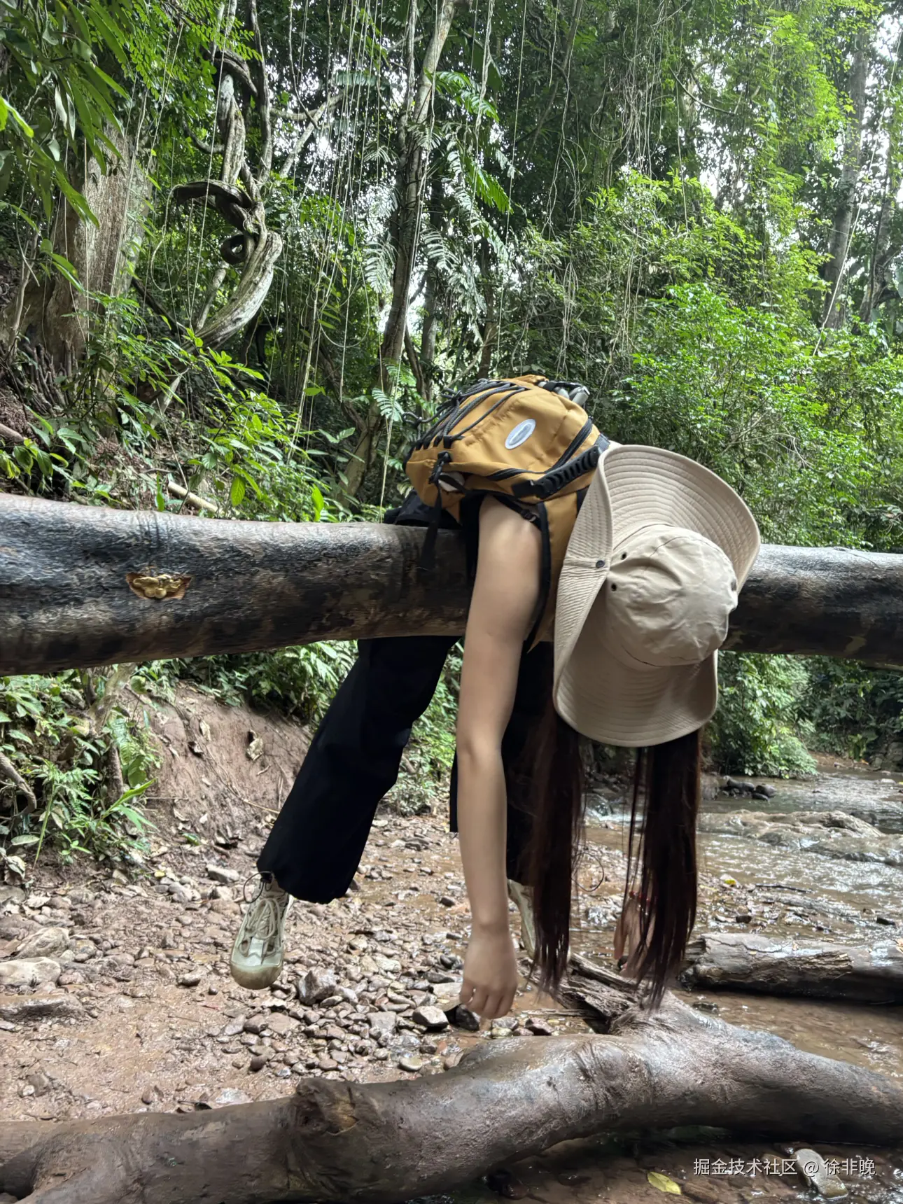 徐非晚于2024-12-03 14:37发布的图片