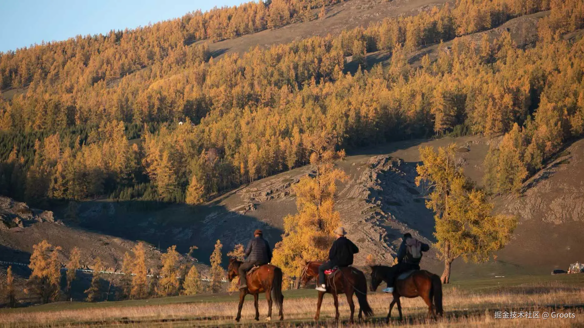 Groots于2025-09-29 09:56发布的图片