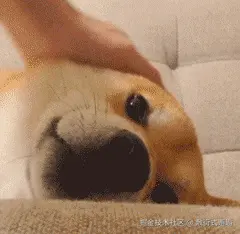 敷衍式邂逅于2024-08-28 14:40发布的图片