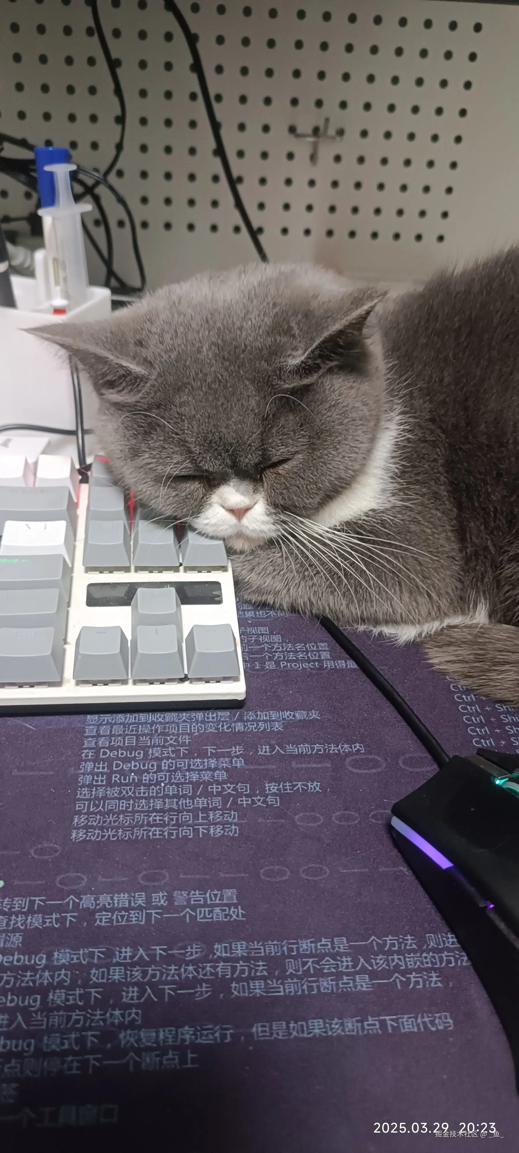 _鱼_于2025-04-14 09:18发布的图片