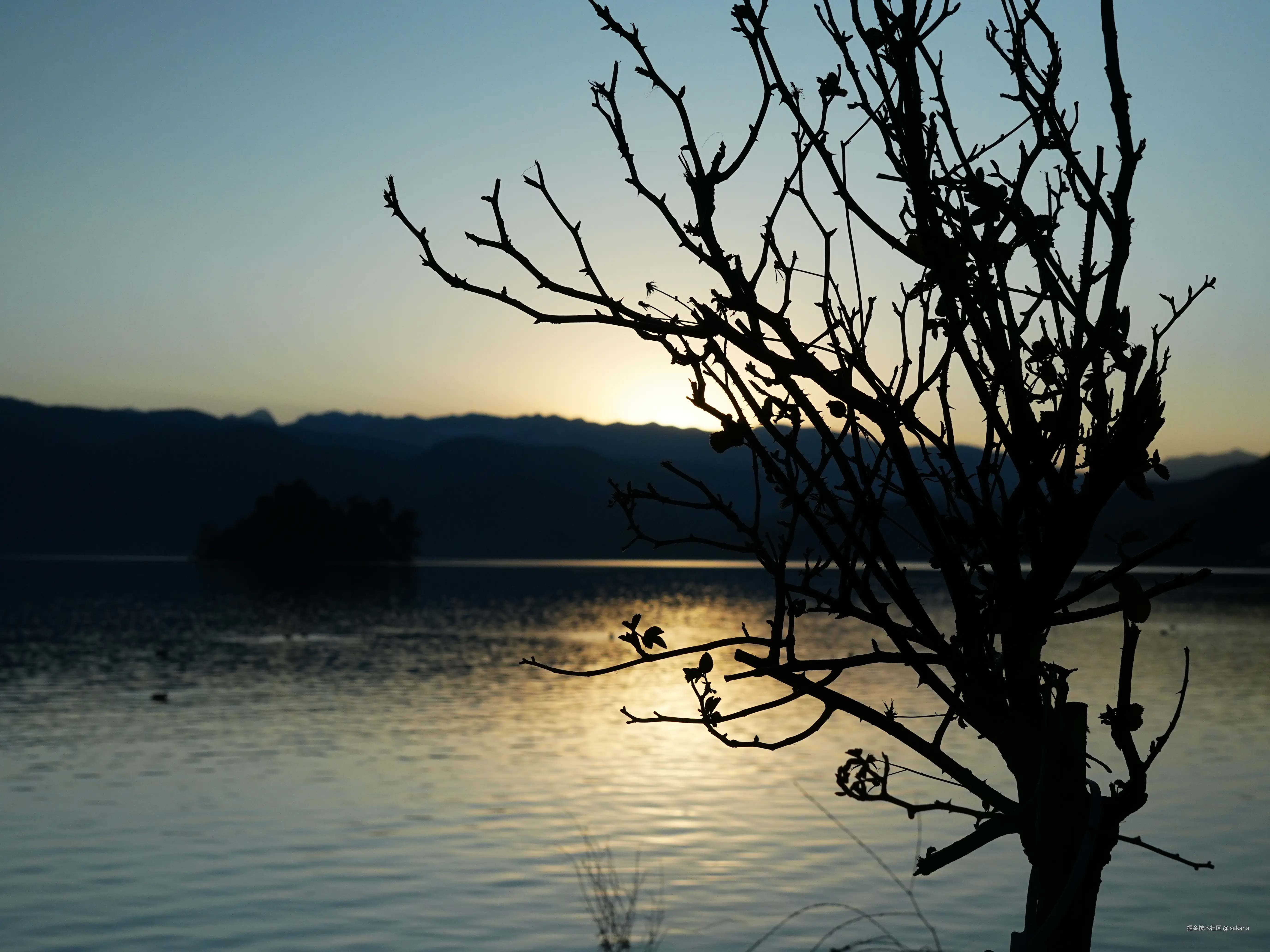 sakana于2025-02-05 09:40发布的图片