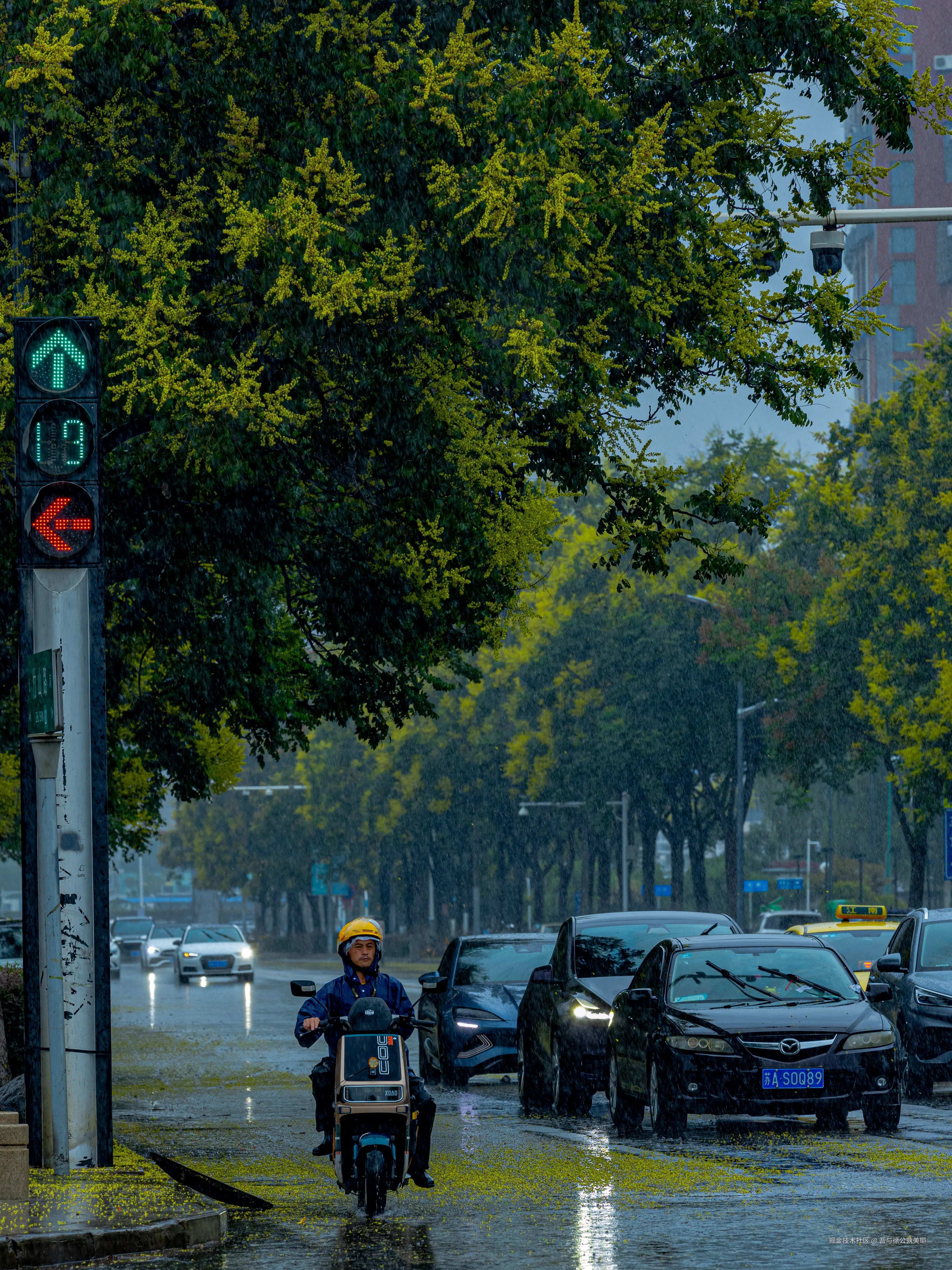 吾与徐公孰美耶于2024-09-20 02:12发布的图片