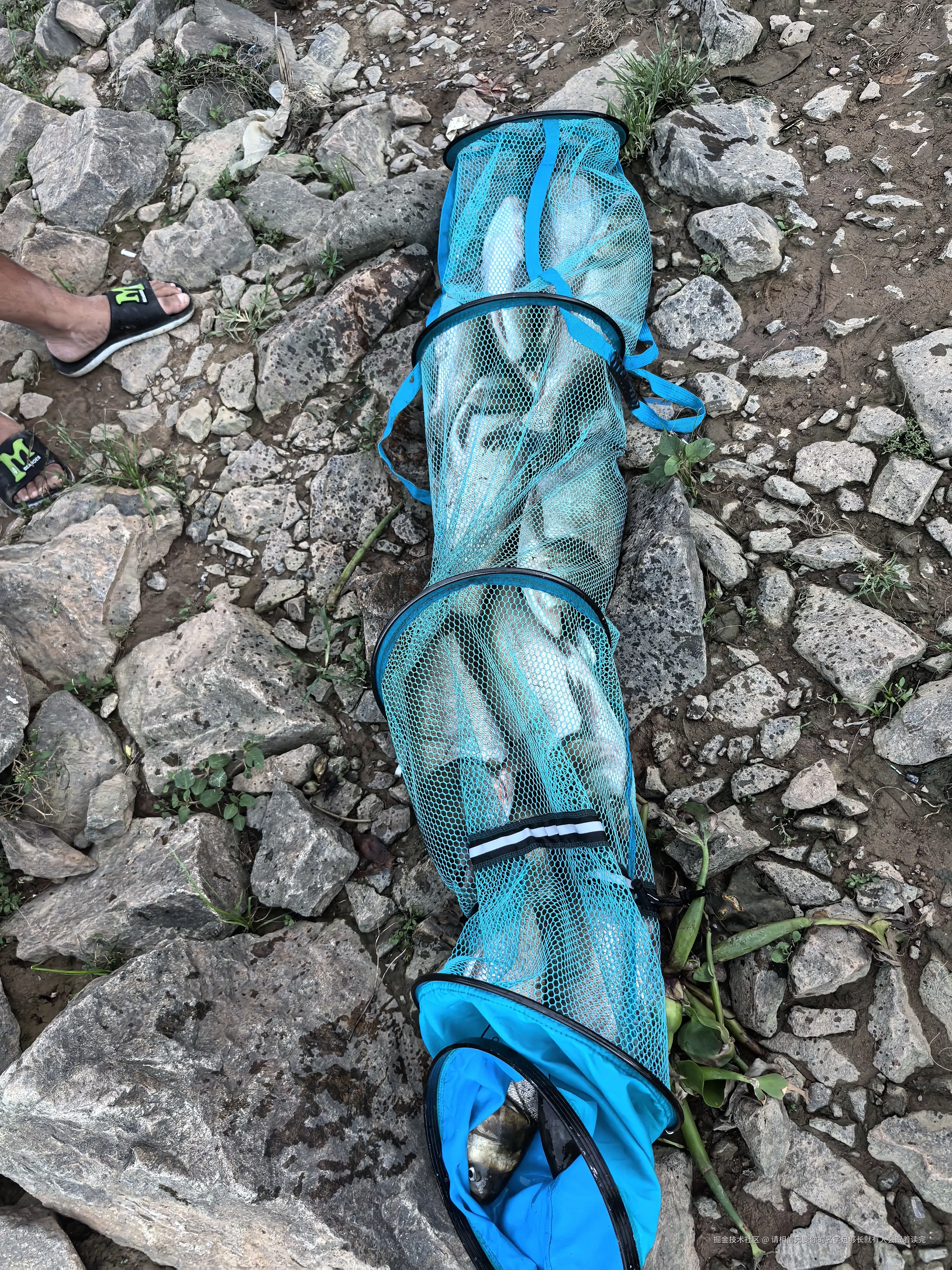 请相信只要你的名字足够长就有人会跟着读完于2025-05-26 08:46发布的图片