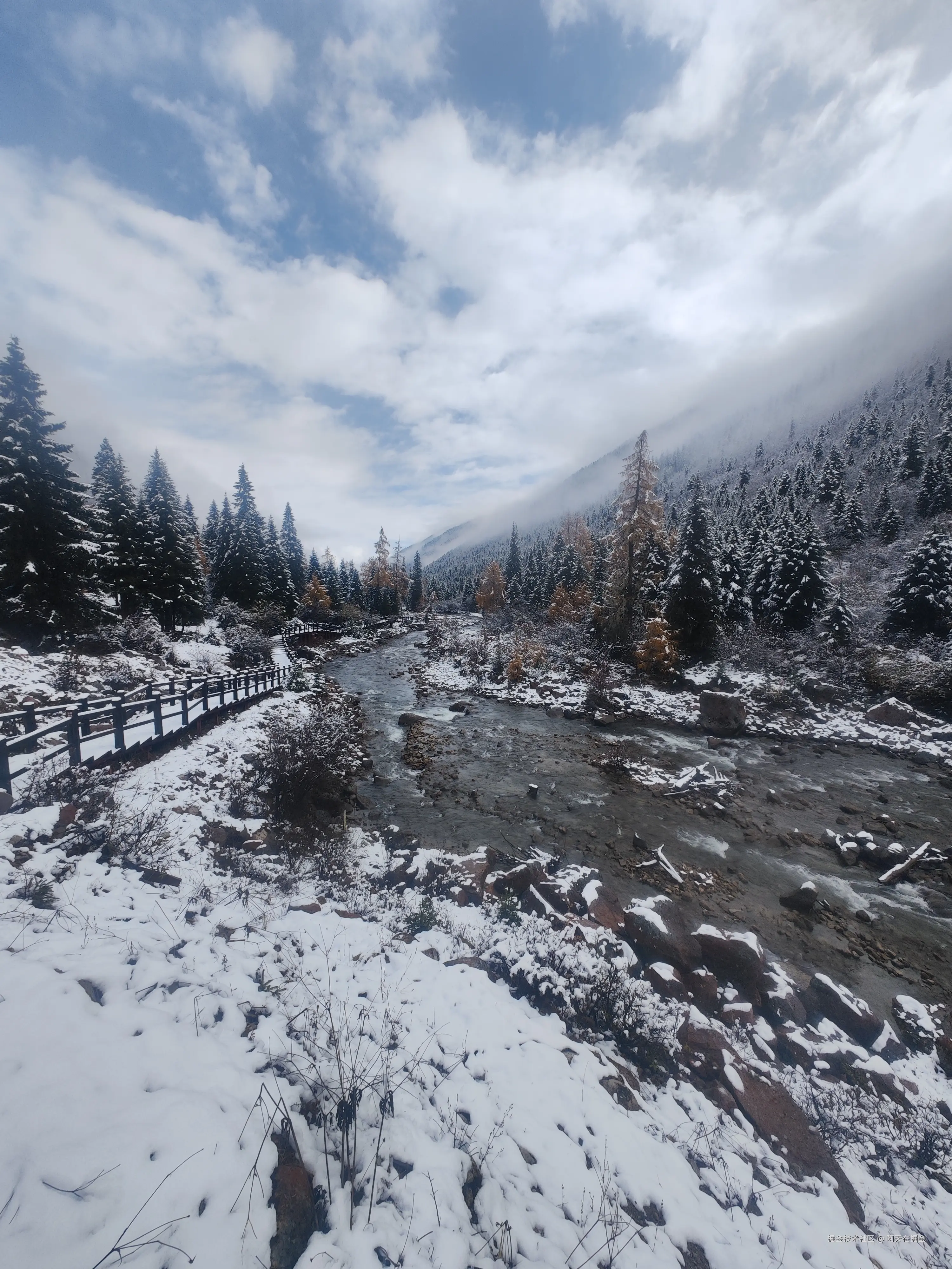 阿天在掘金于2024-11-07 02:39发布的图片