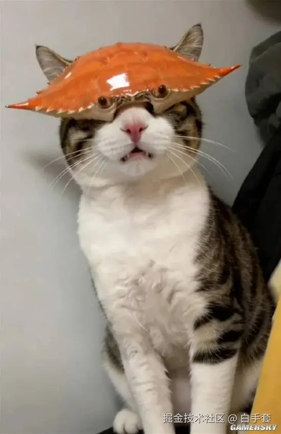 白手套于2026-01-14 15:44发布的图片