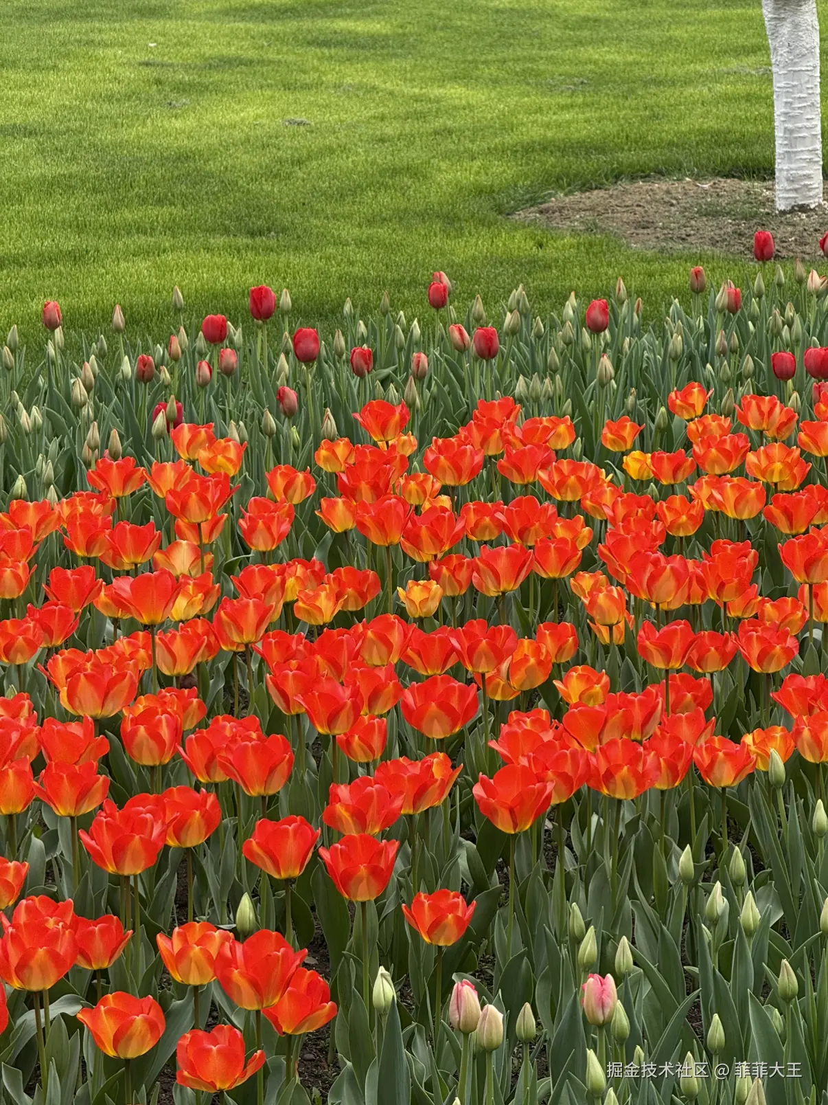 菲菲大王于2026-03-09 10:13发布的图片