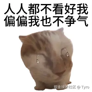 Tyro于2025-04-19 16:47发布的图片