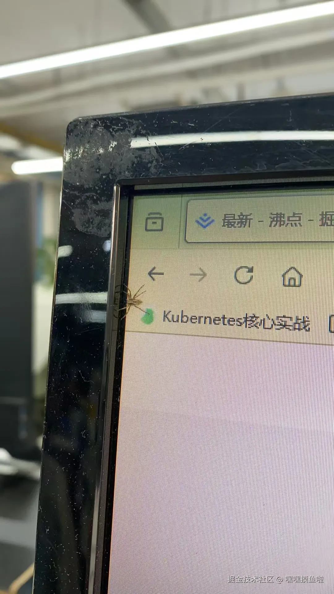 嘿嘿摸鱼啦于2024-11-01 10:46发布的图片