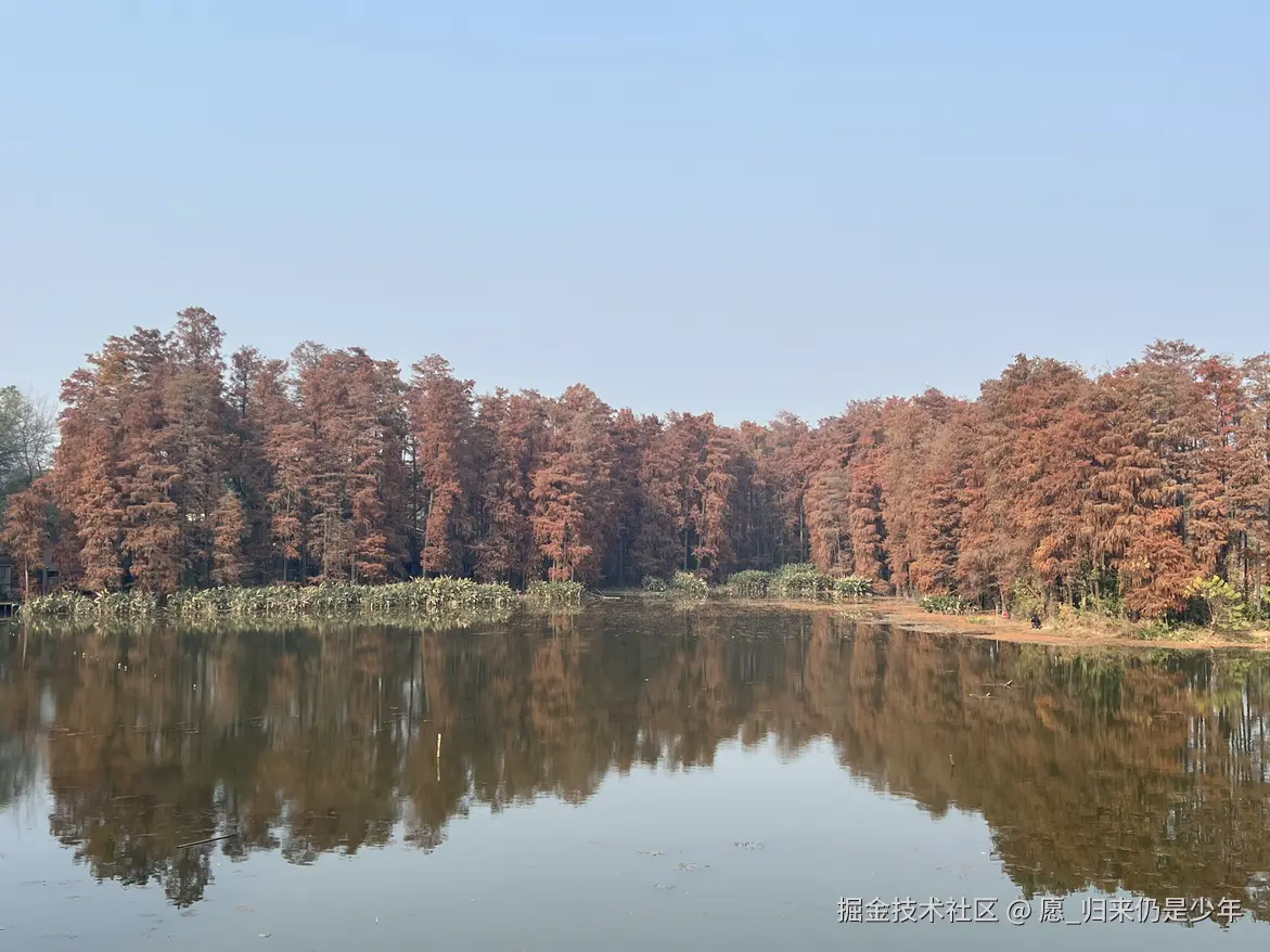 愿_归来仍是少年于2025-12-18 09:59发布的图片