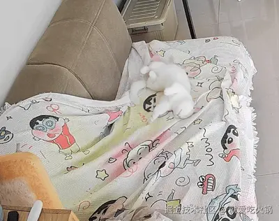 就爱吃火锅于2025-09-28 12:49发布的图片