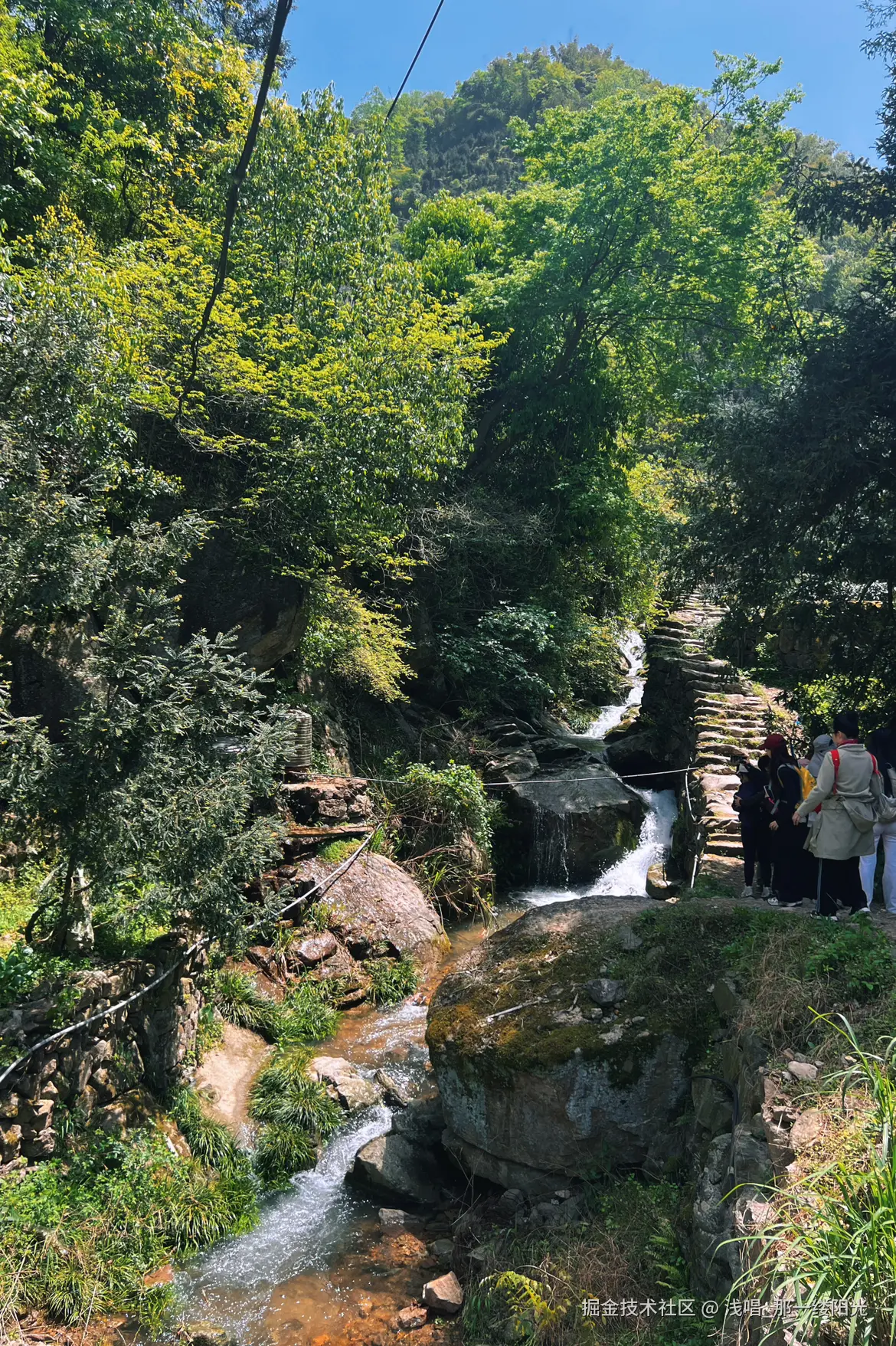 浅唱_那一缕阳光于2025-04-24 09:06发布的图片