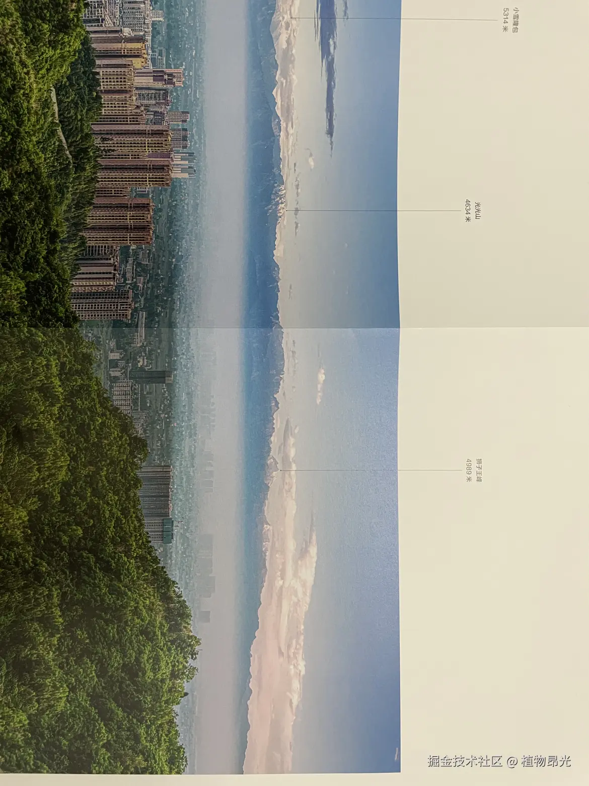 植物昂光于2026-04-02 20:46发布的图片