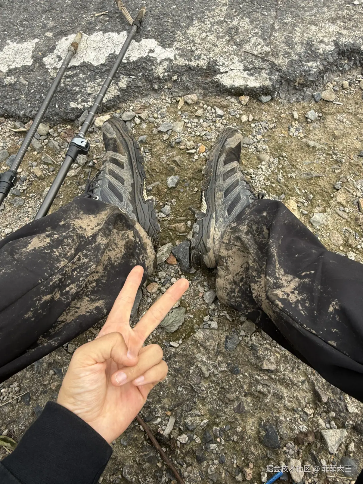 菲菲大王于2025-11-03 11:04发布的图片