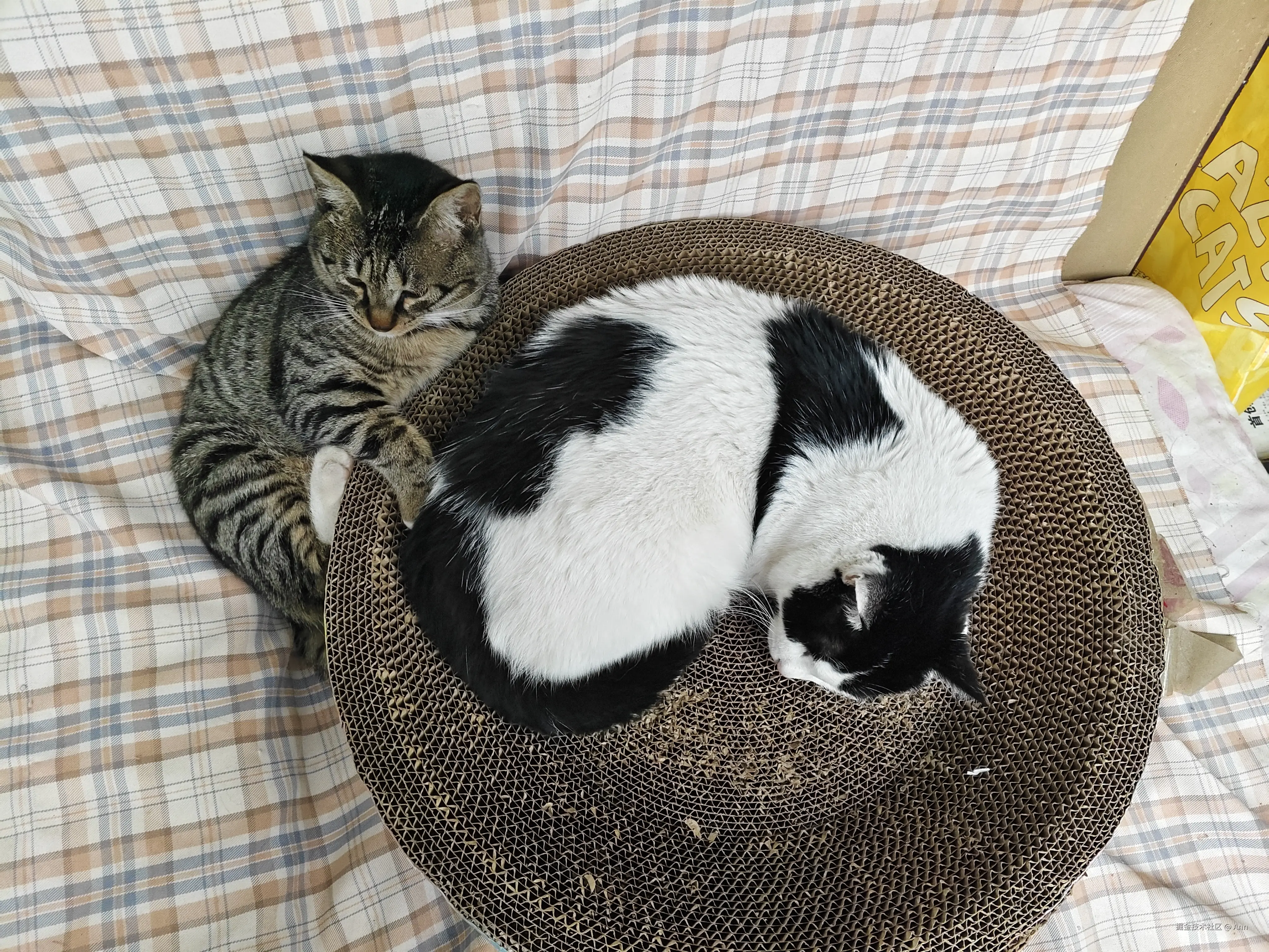 Ann于2024-11-12 16:19发布的图片