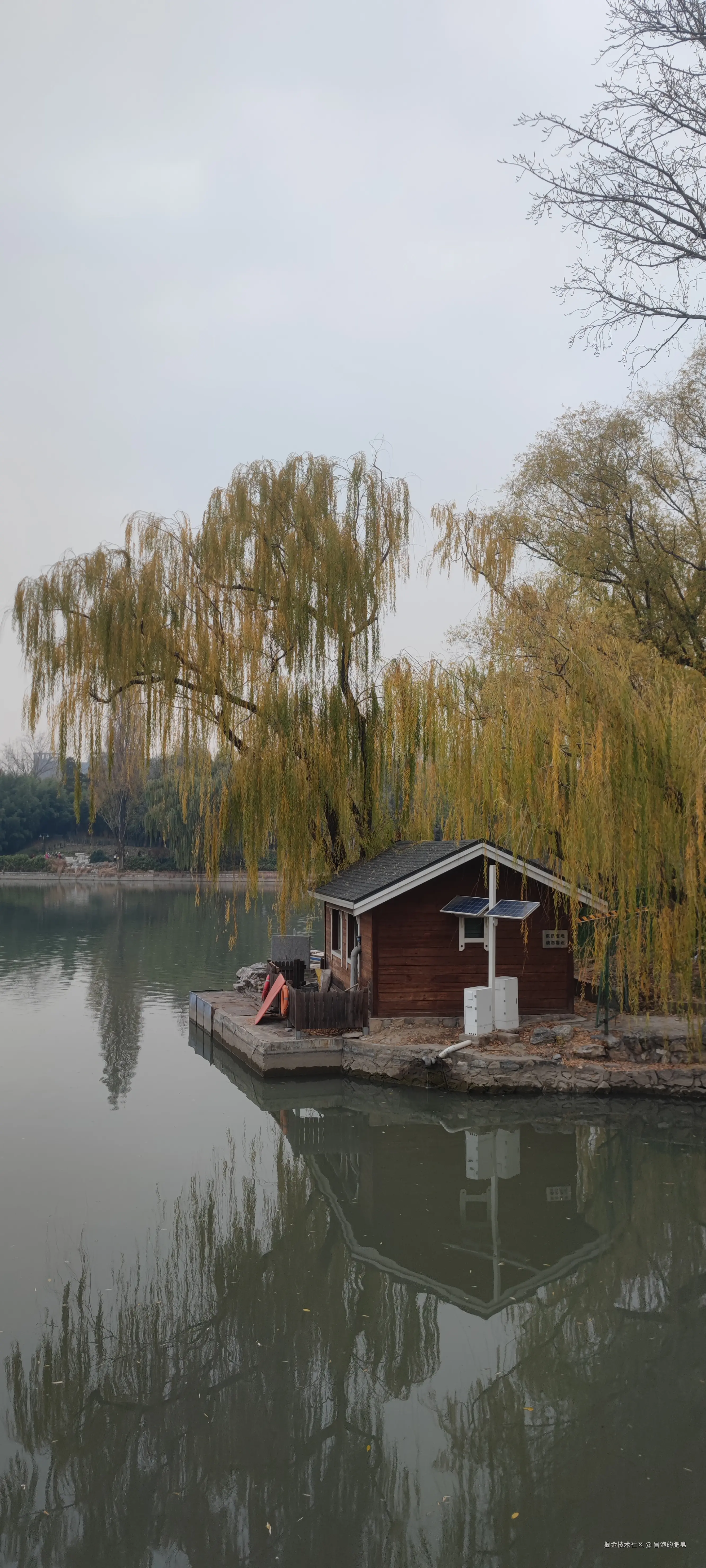 冒泡的肥皂于2024-11-24 16:42发布的图片