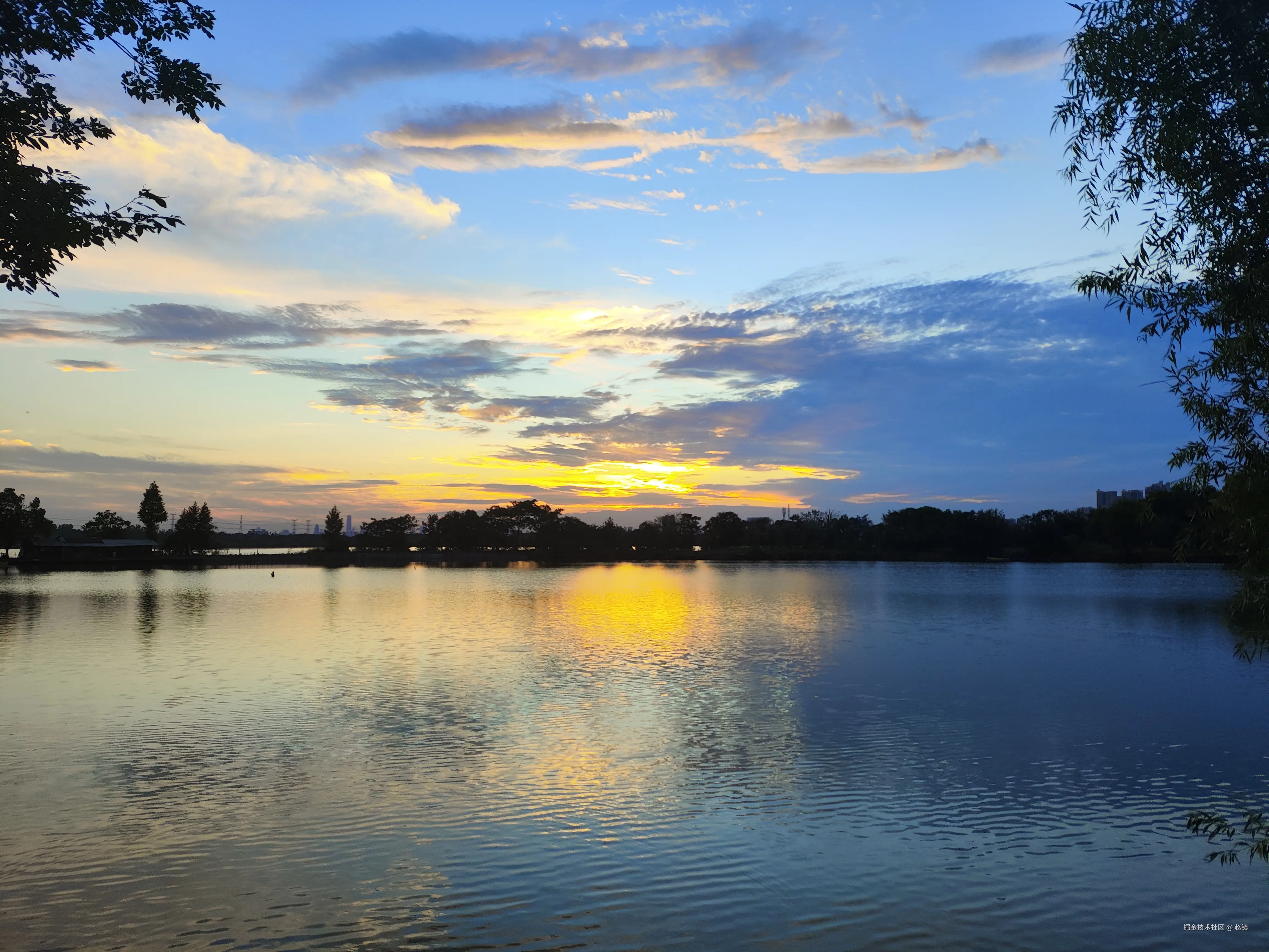 赵镇于2024-07-22 17:41发布的图片